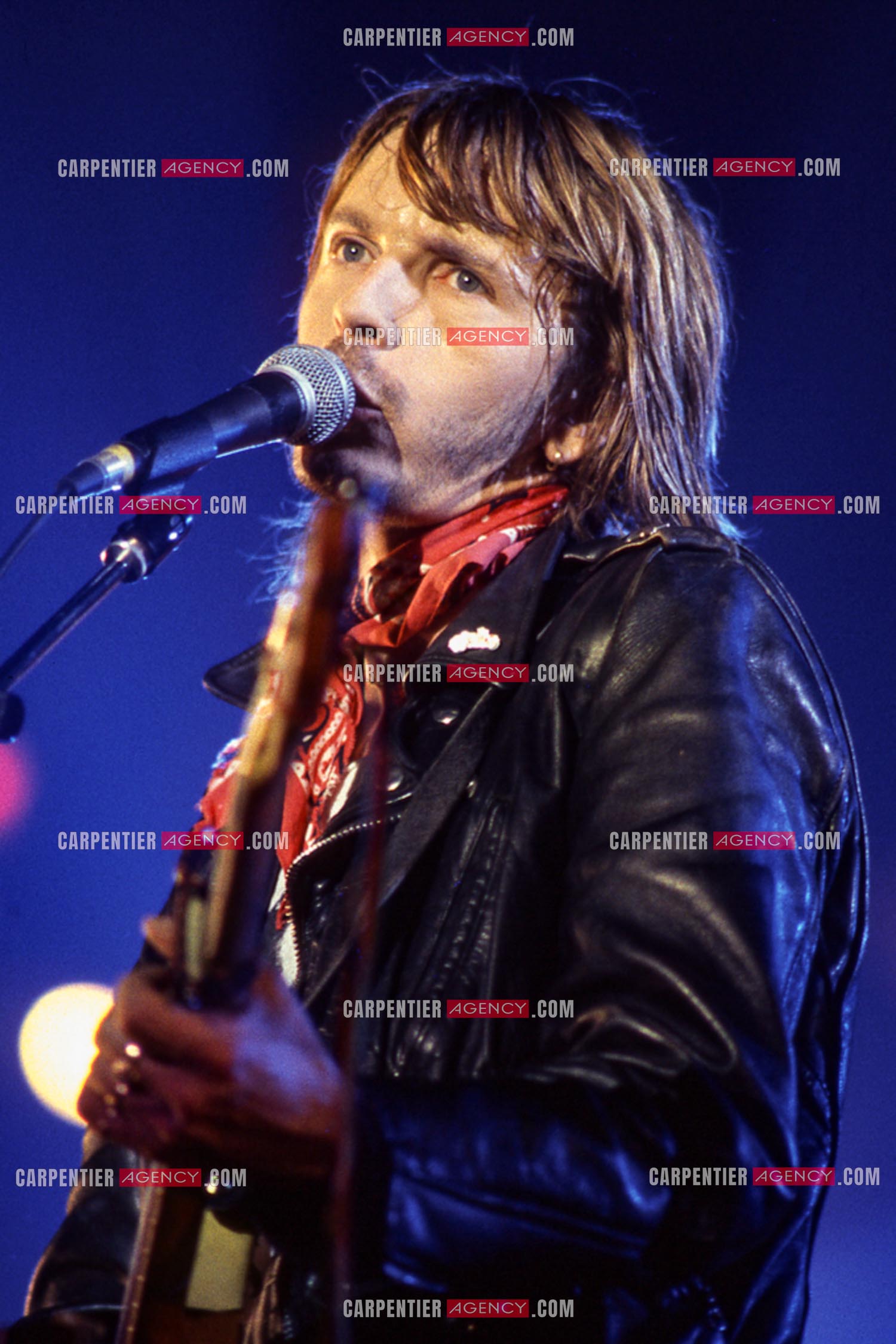 Le chanteur Renaud Séchan en concert.