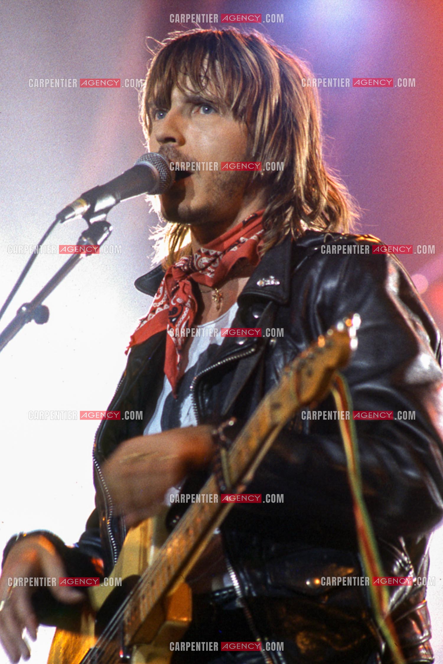 Le chanteur Renaud Séchan en concert.
