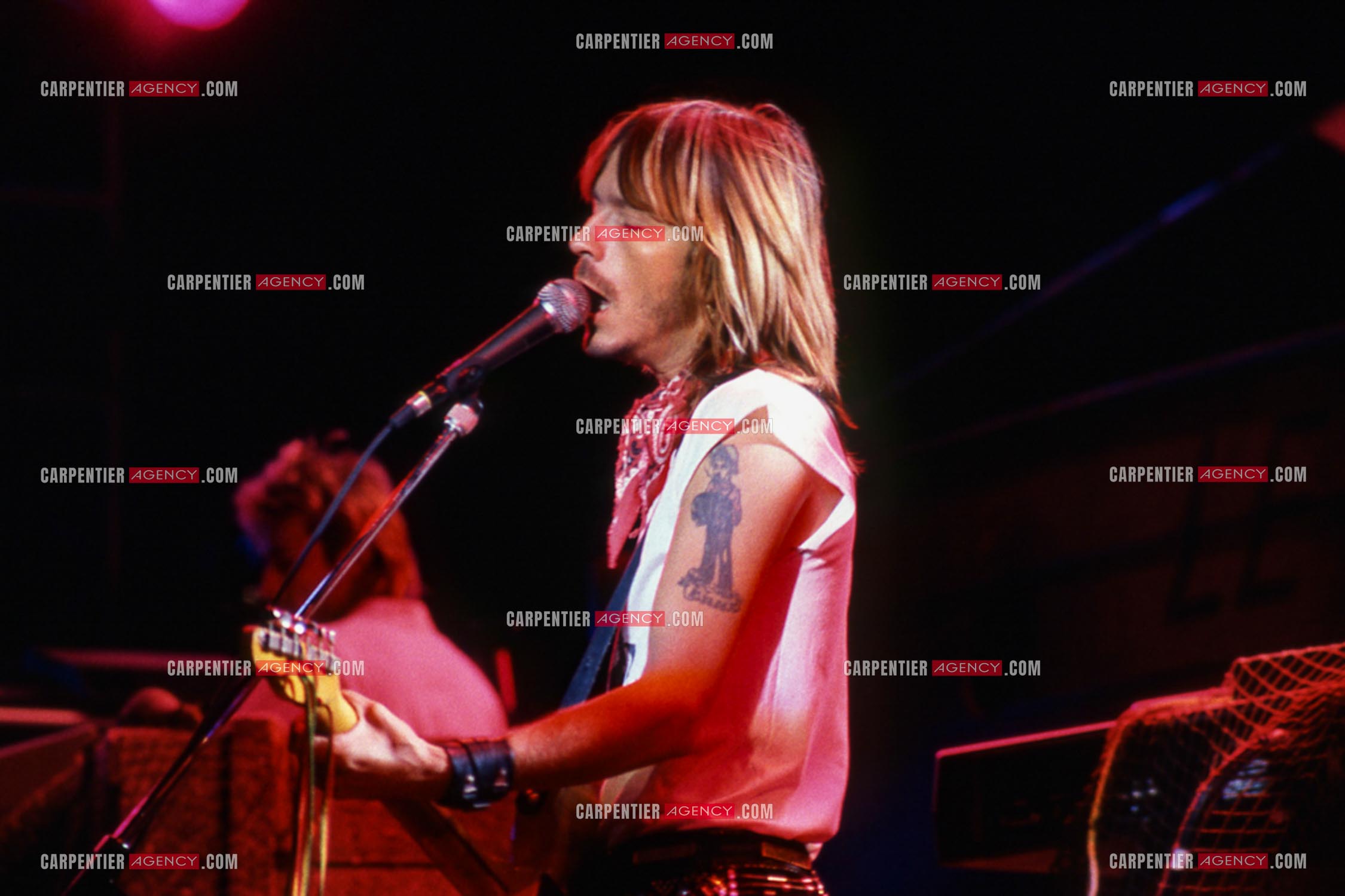Le chanteur Renaud Séchan en concert.