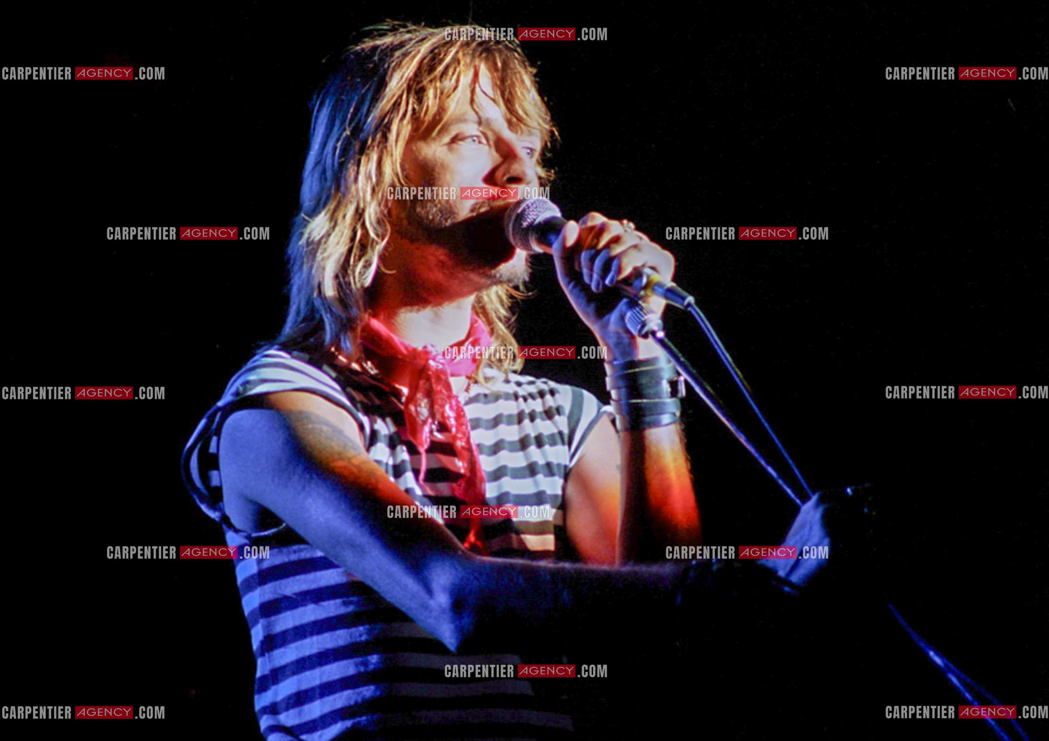Le chanteur Renaud Séchan.