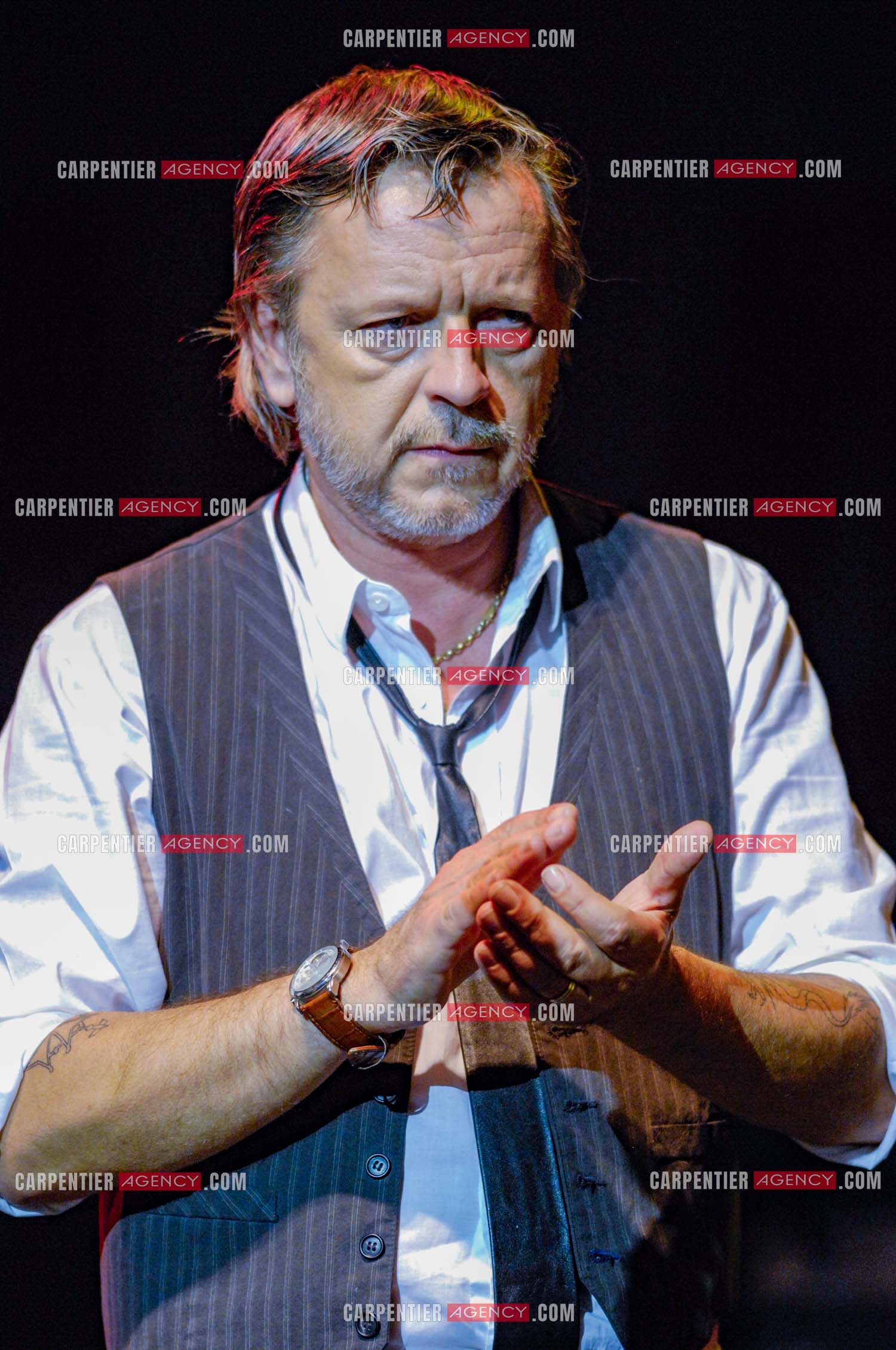 Le chanteur Renaud lors d'un concert de soutien au Zénith de Paris au profit de la libération d'Ingrid Betancourt.