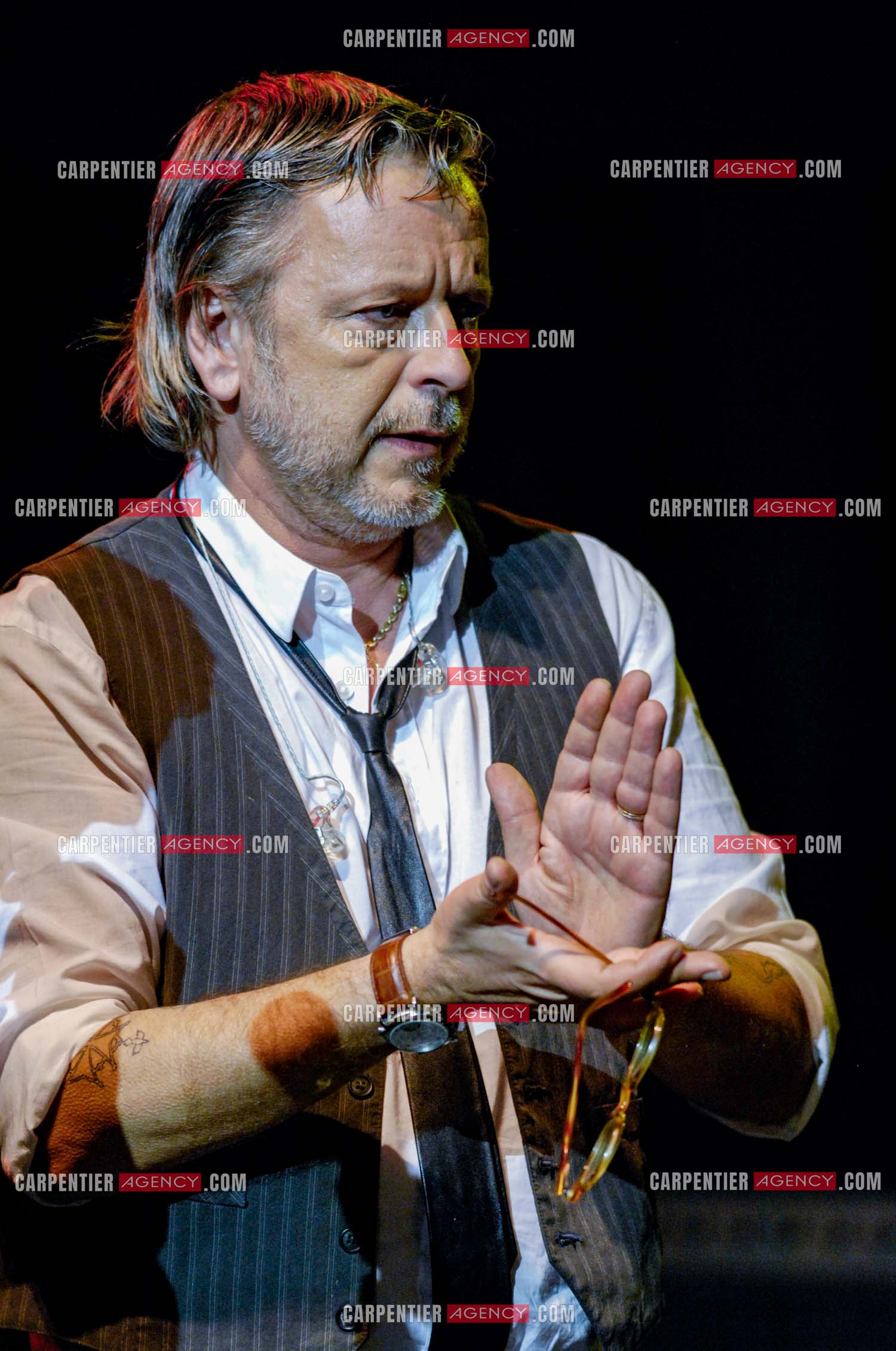 Le chanteur Renaud lors d'un concert de soutien au Zénith de Paris au profit de la libération d'Ingrid Betancourt.