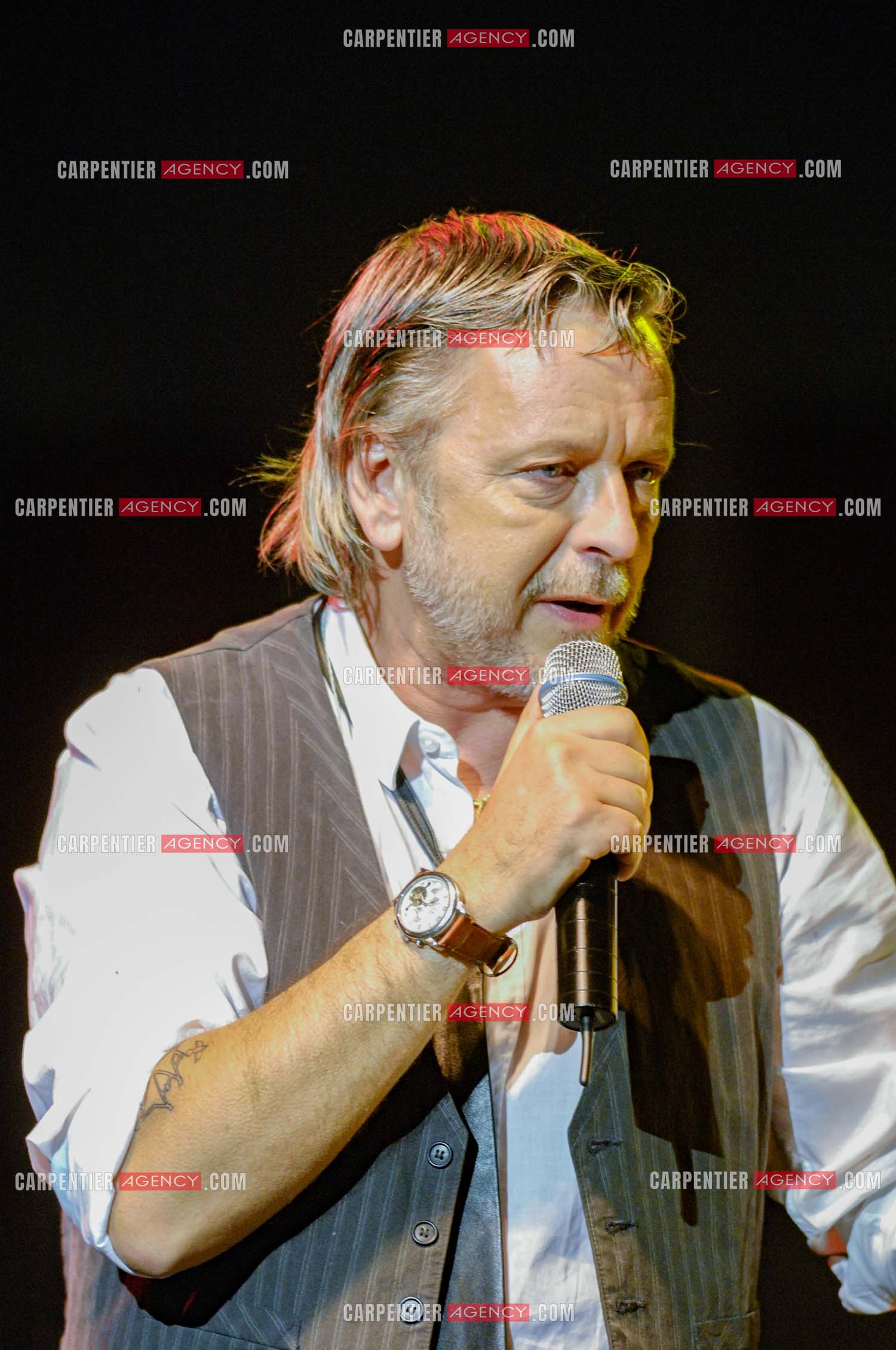 Le chanteur Renaud lors d'un concert de soutien au Zénith de Paris au profit de la libération d'Ingrid Betancourt.