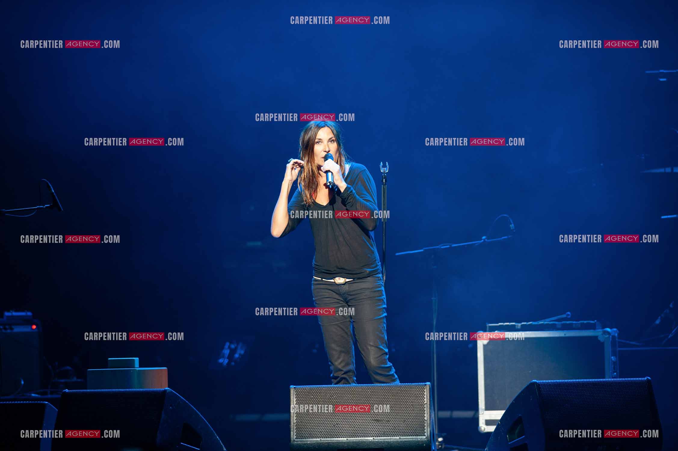 La chanteuse Isabelle Marie Anne de Truchis de Varennes dite Zazie en concert au Zénith de Paris “ CONCERT POUR LA PLANETE “le 03 Sept 2008.   ( Exclusif )