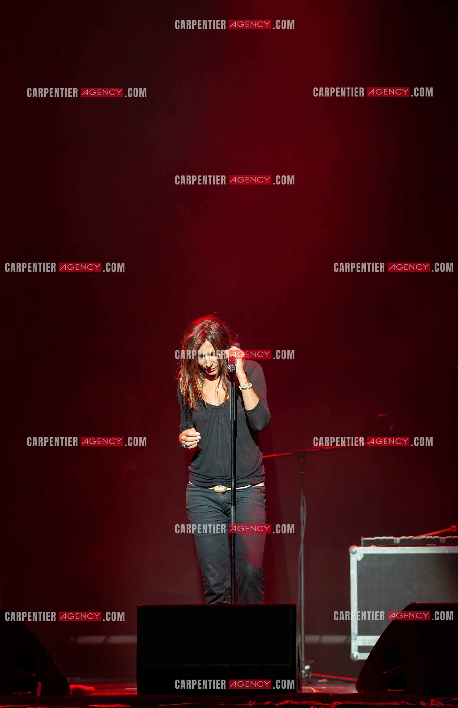 La chanteuse Isabelle Marie Anne de Truchis de Varennes dite Zazie en concert au Zénith de Paris “ CONCERT POUR LA PLANETE “le 03 Sept 2008.   ( Exclusif )