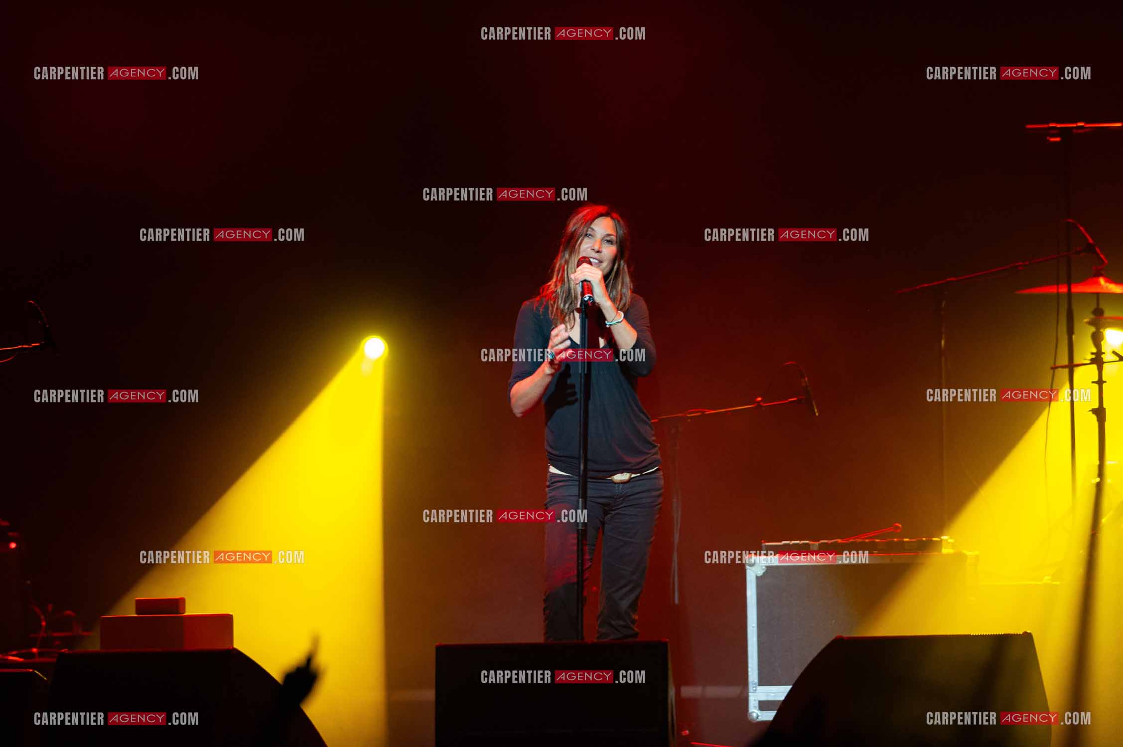 La chanteuse Isabelle Marie Anne de Truchis de Varennes dite Zazie en concert au Zénith de Paris “ CONCERT POUR LA PLANETE “le 03 Sept 2008.   ( Exclusif )