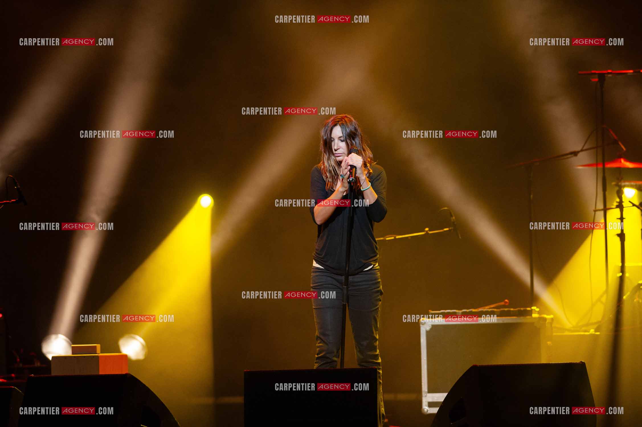 La chanteuse Isabelle Marie Anne de Truchis de Varennes dite Zazie en concert au Zénith de Paris “ CONCERT POUR LA PLANETE “le 03 Sept 2008.   ( Exclusif )