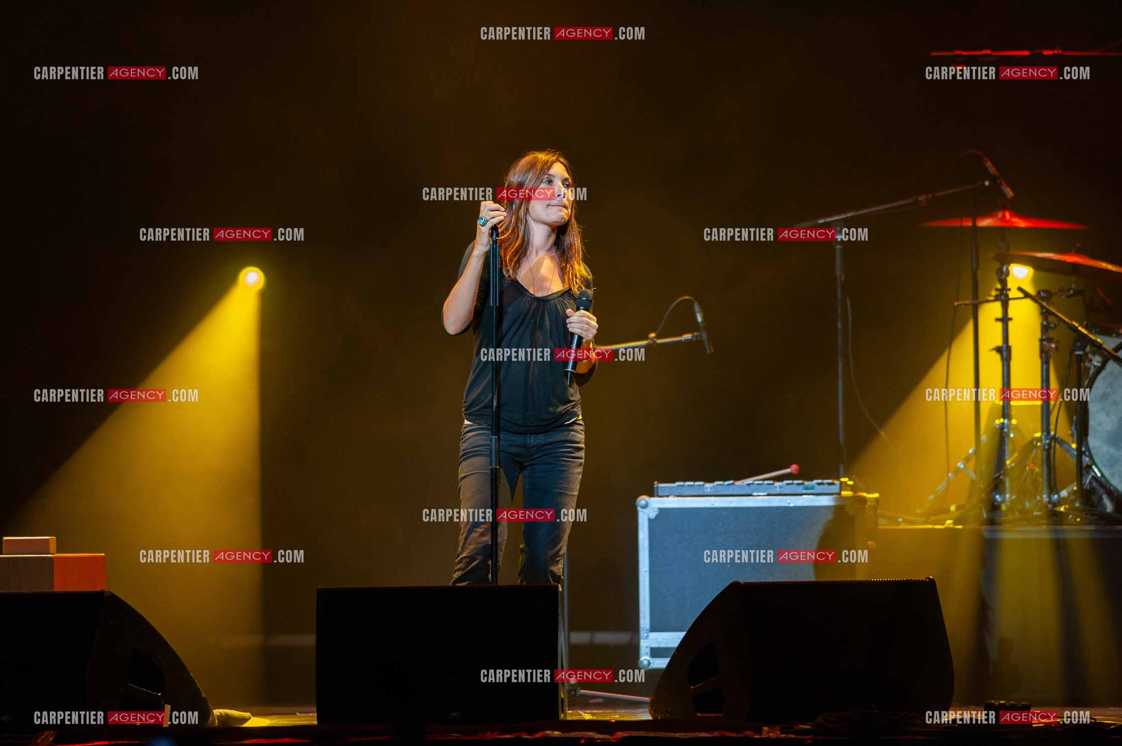 La chanteuse Isabelle Marie Anne de Truchis de Varennes dite Zazie en concert au Zénith de Paris “ CONCERT POUR LA PLANETE “le 03 Sept 2008.   ( Exclusif )