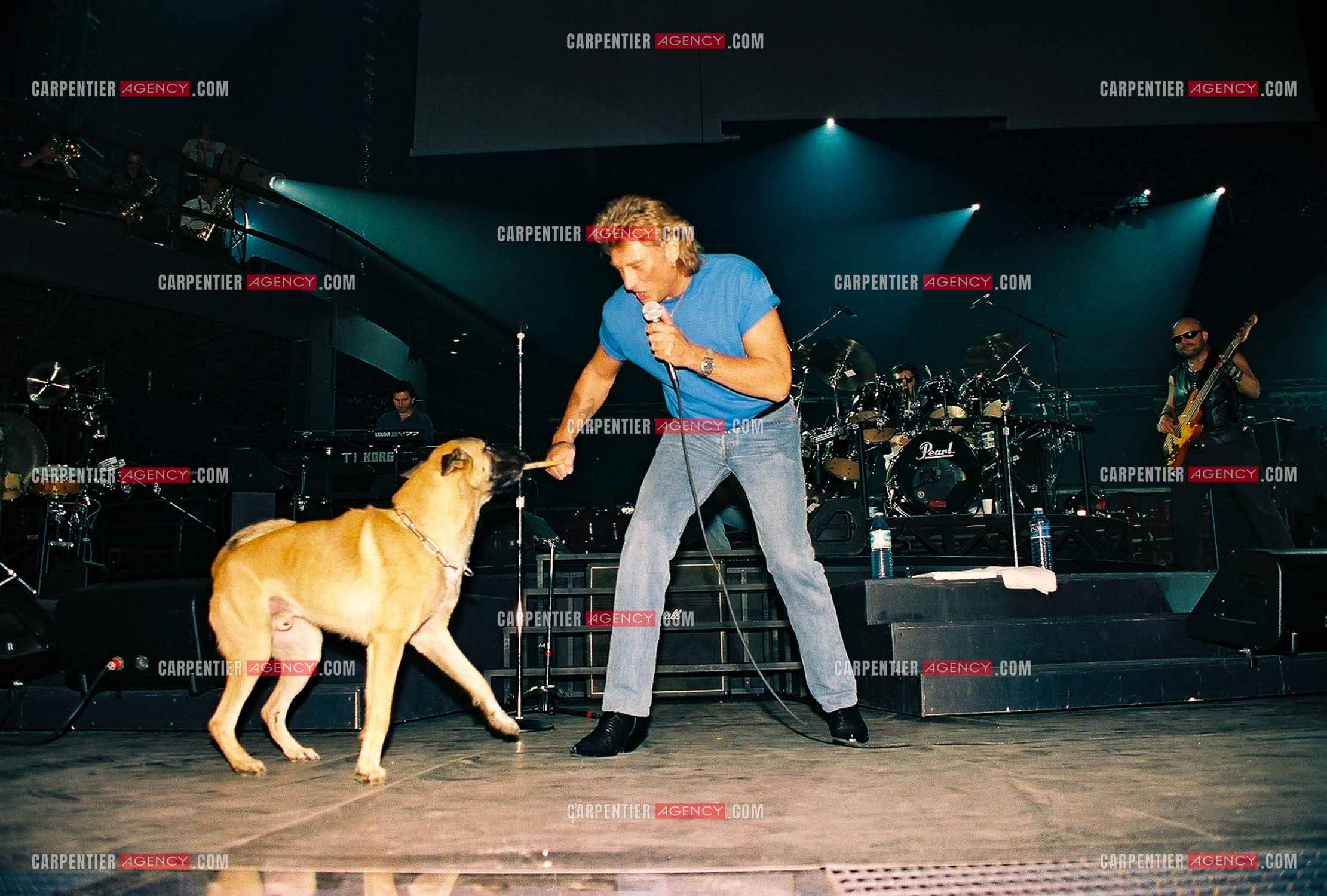 Le chanteur Johnny Hallyday en concert au Palais omnisports de Paris-Bercy du 14 septembre au 4 octobre 1992. Lors des répétitions, Johnny jouant avec son chien " Flash “ un berger Belge avec une baguette de batterie.       ( Exclusif )