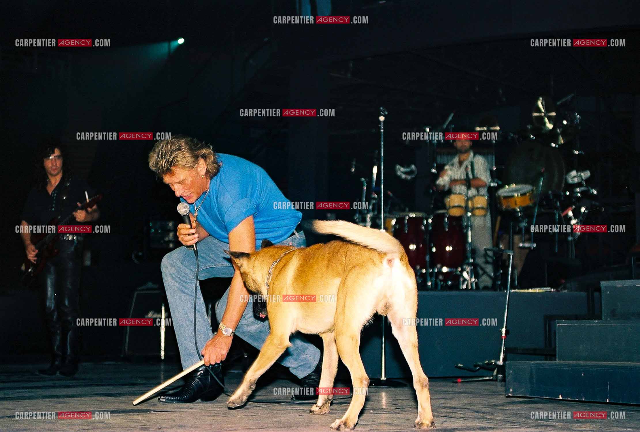 Le chanteur Johnny Hallyday en concert au Palais omnisports de Paris-Bercy du 14 septembre au 4 octobre 1992. Lors des répétitions, Johnny jouant avec son chien " Flash “ un berger Belge avec une baguette de batterie.       ( Exclusif )