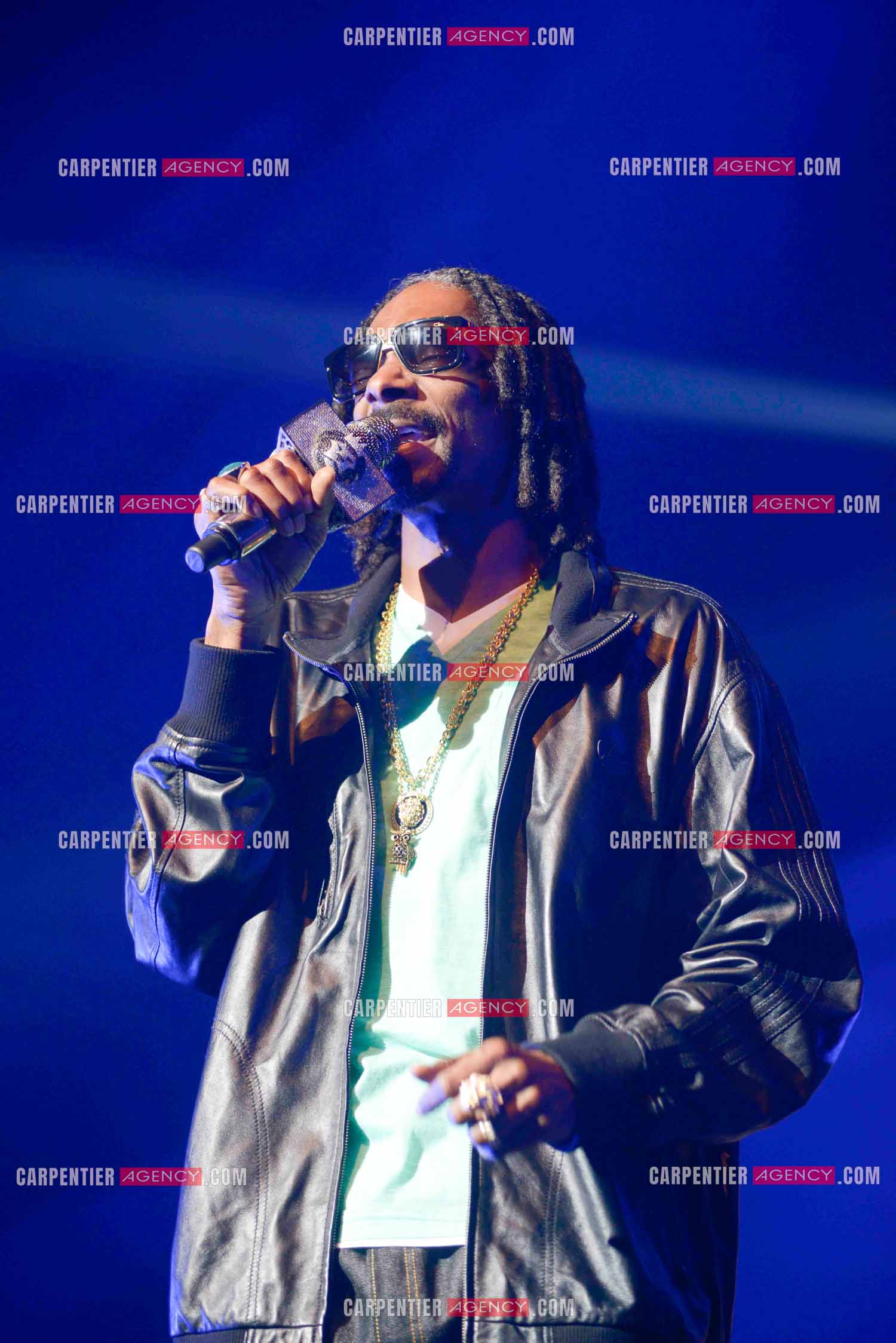 Le rappeur Snoop Dogg en concert au Zénith de Paris en 2013.    ( Exclusif )