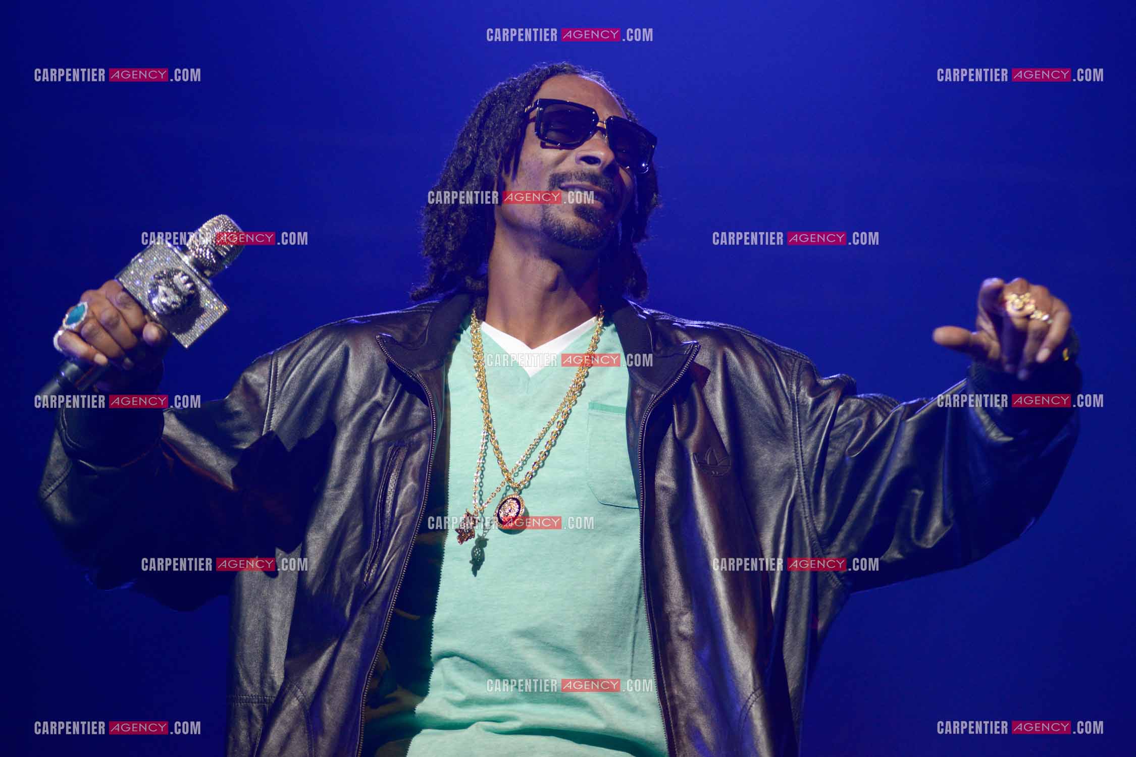Le rappeur Snoop Dogg en concert au Zénith de Paris en 2013.    ( Exclusif )