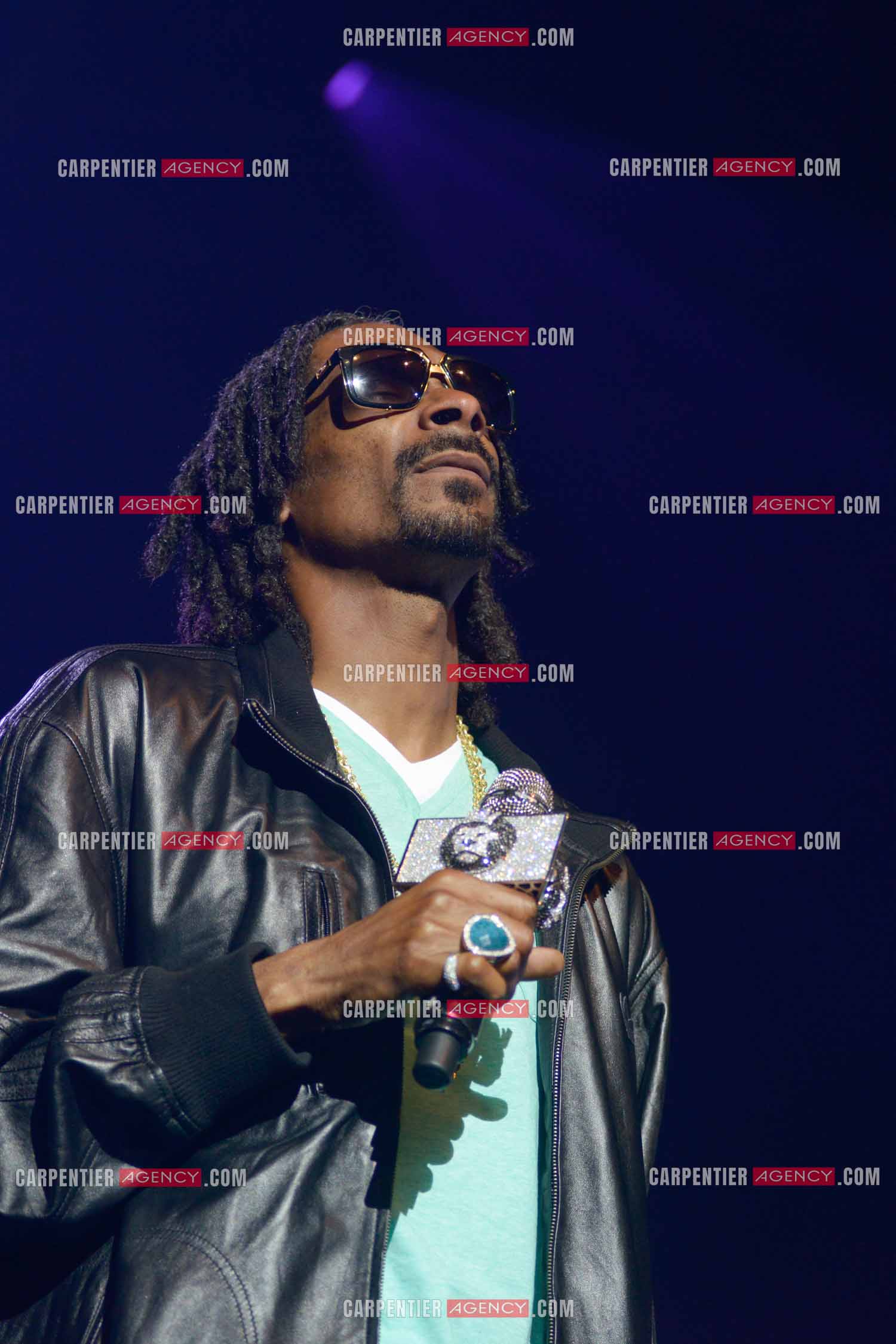 Le rappeur Snoop Dogg en concert au Zénith de Paris en 2013.    ( Exclusif )