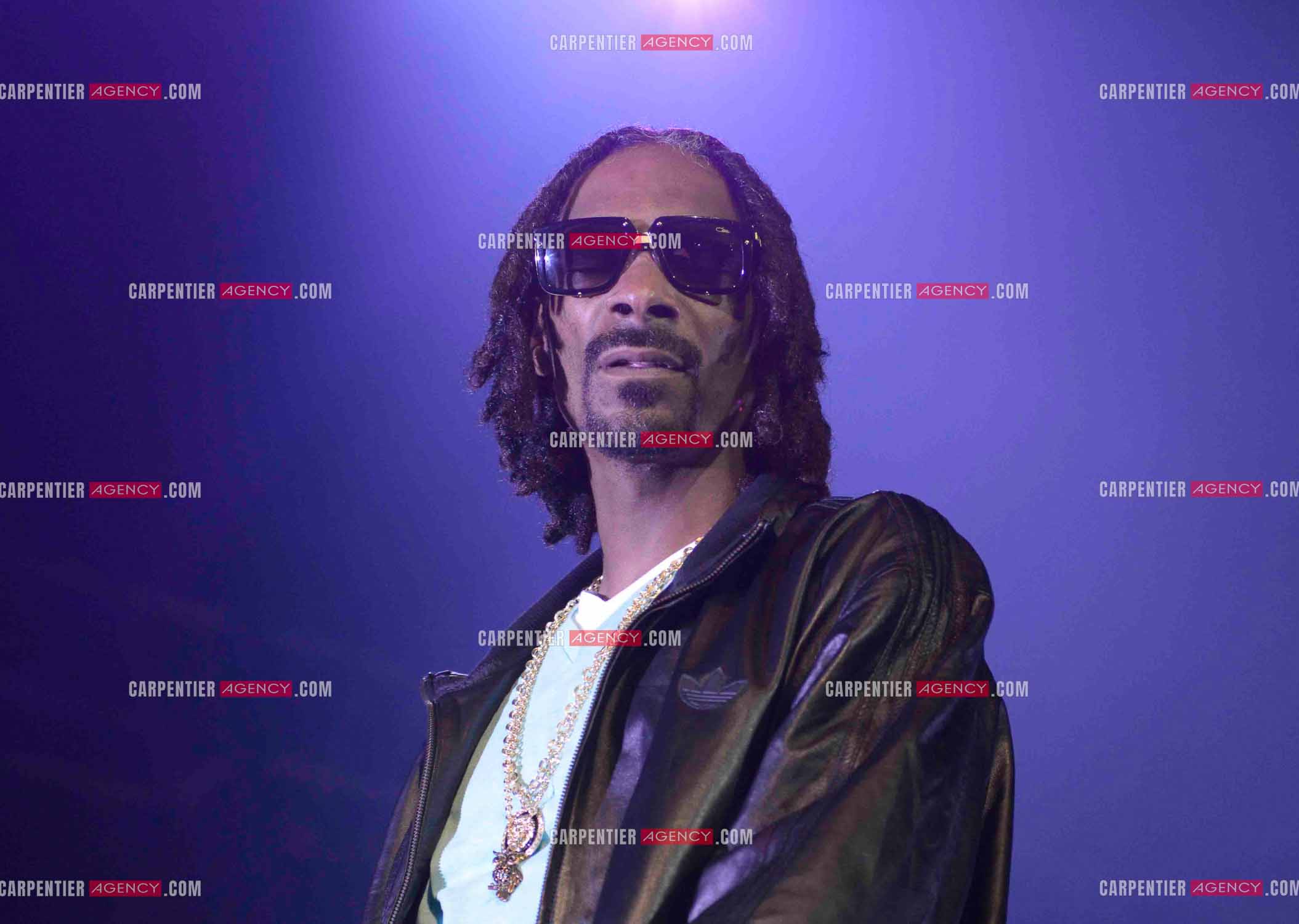 Le rappeur Snoop Dogg en concert au Zénith de Paris en 2013.    ( Exclusif )