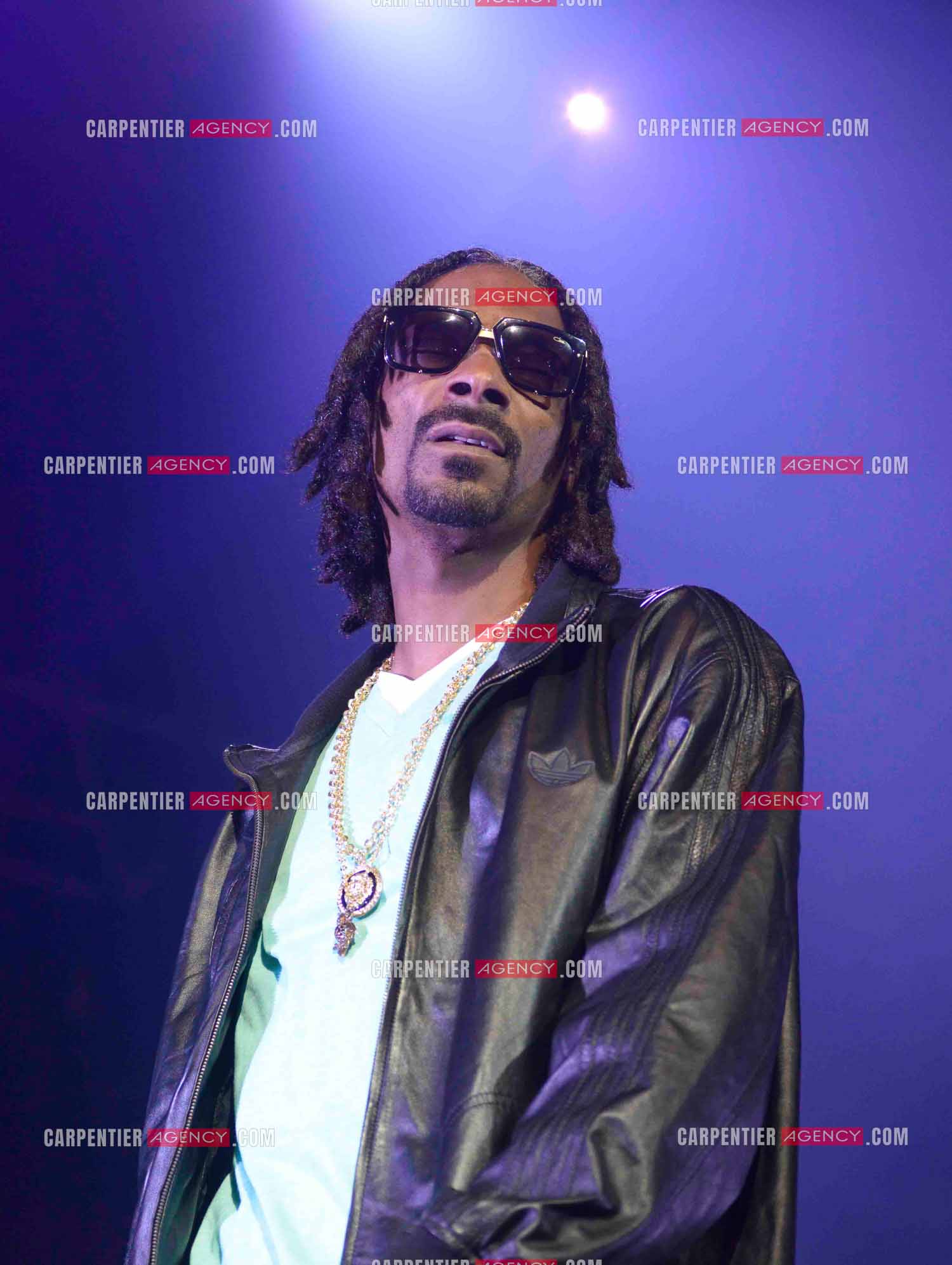 Le rappeur Snoop Dogg en concert au Zénith de Paris en 2013.    ( Exclusif )