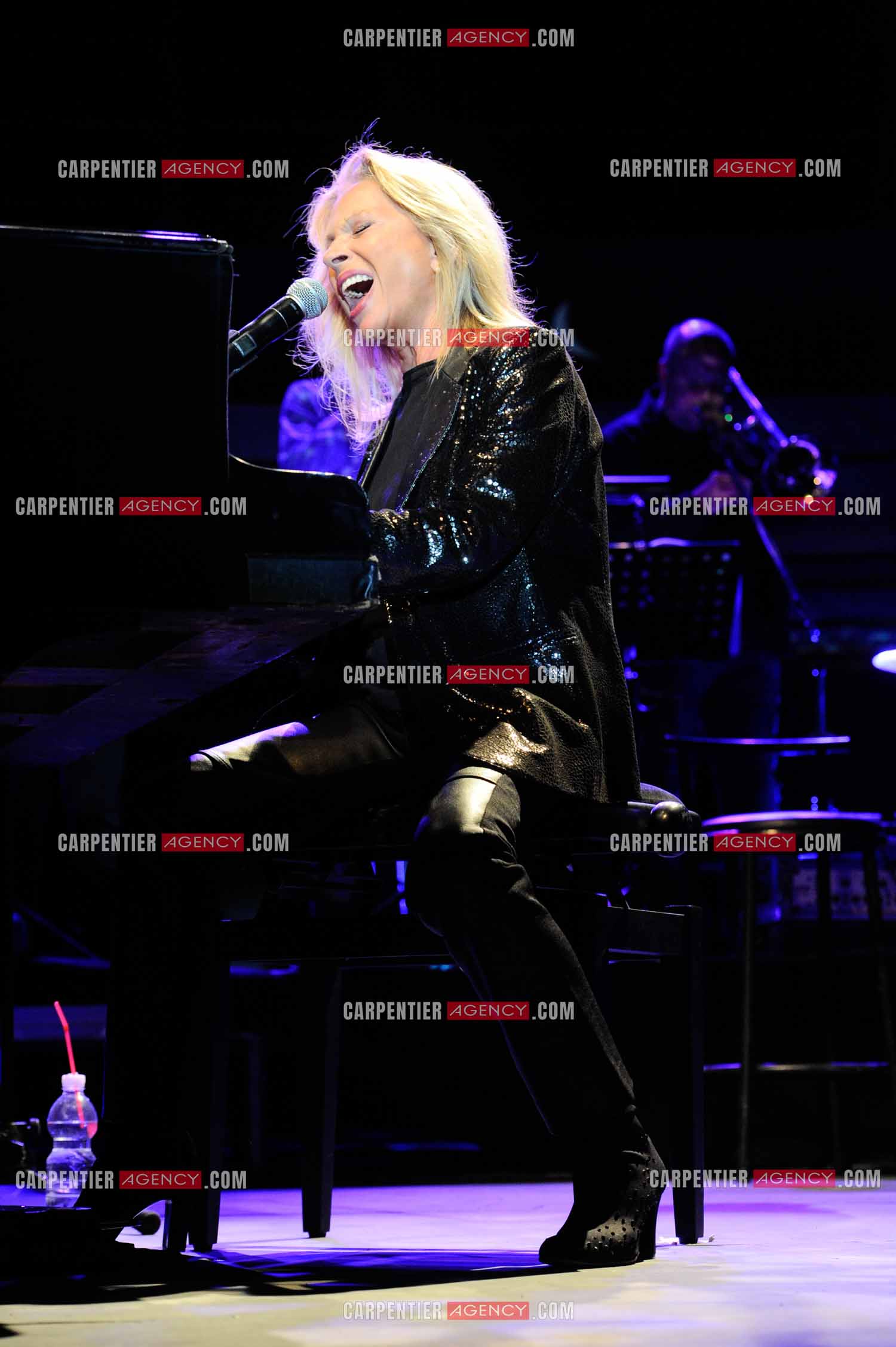 La chanteuse Véronique Sanson en concert a Alès.