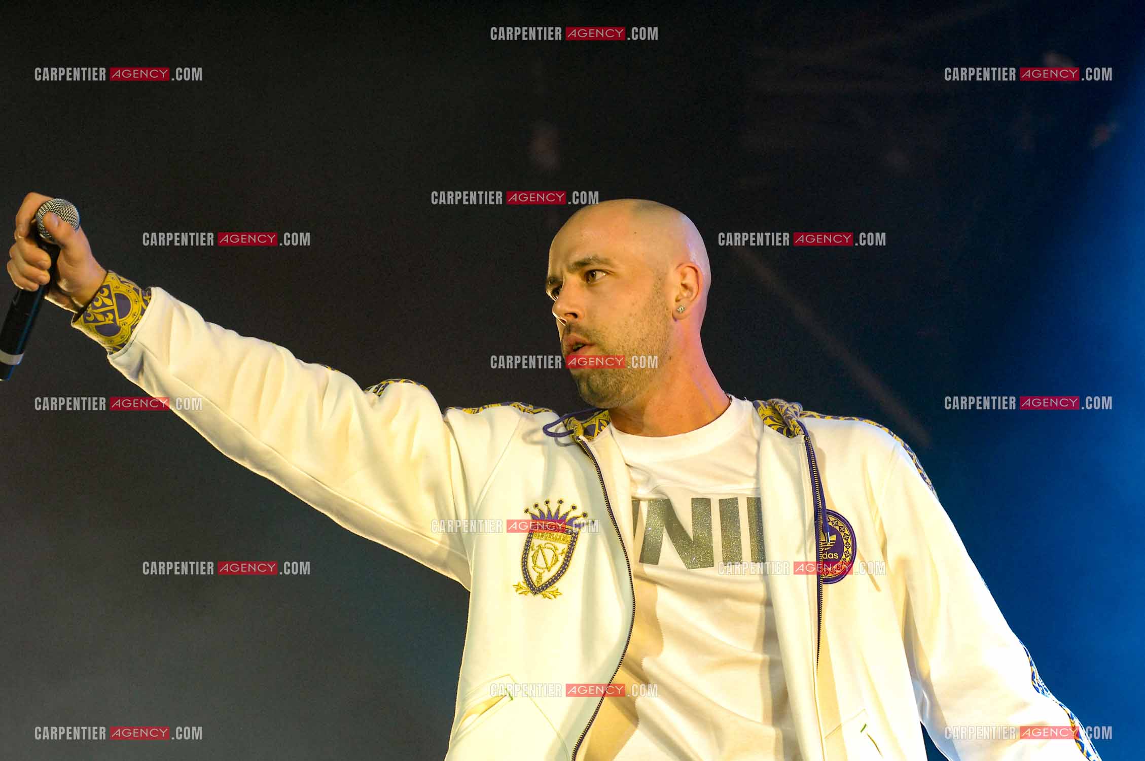 Le rappeur Sinik en concert au Zénith de Paris.     ( Exclusif )