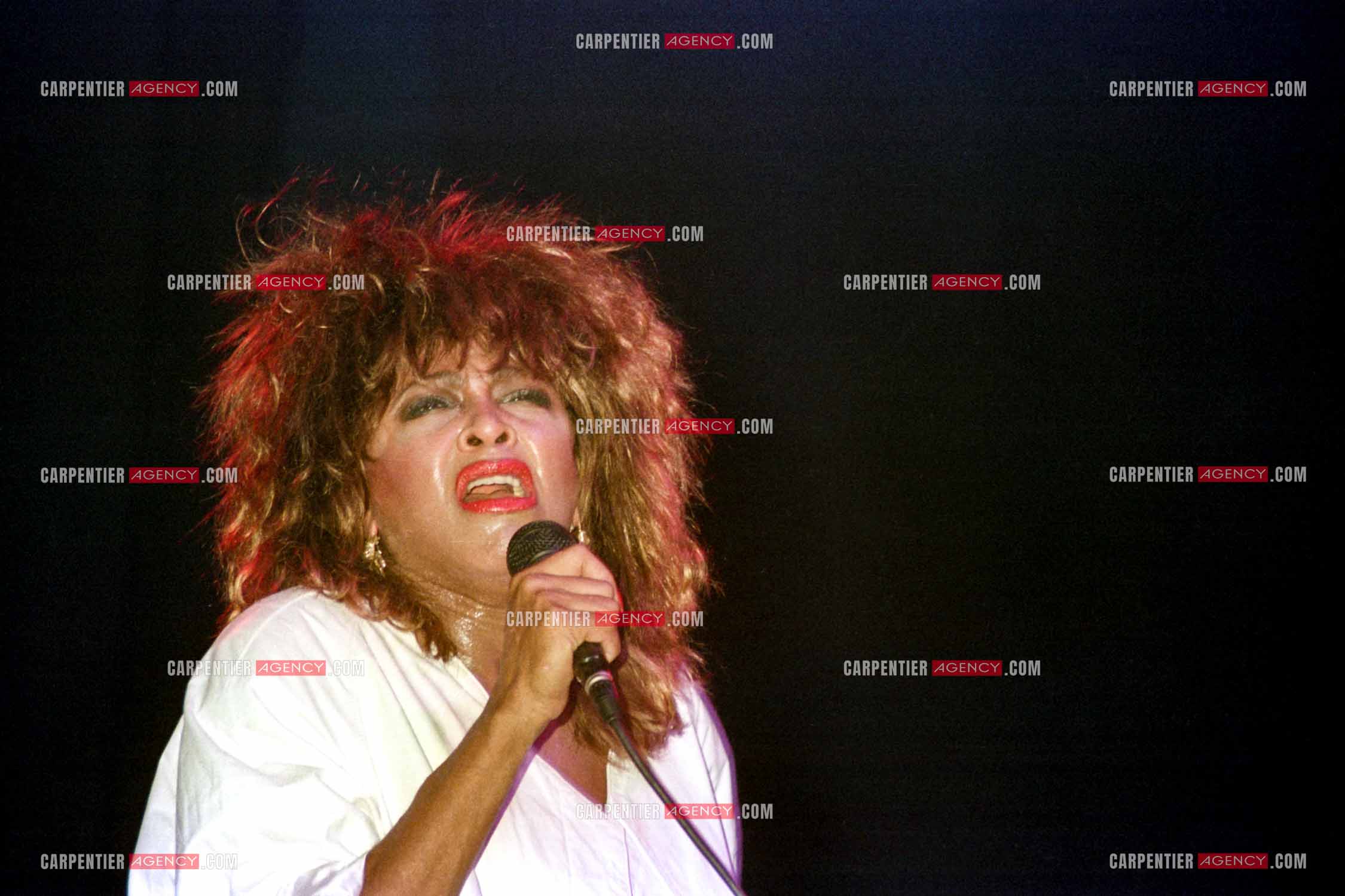 La chanteuse américaine Tina Turner en concert au zénith de Paris en 1984.    ( Exclusif )