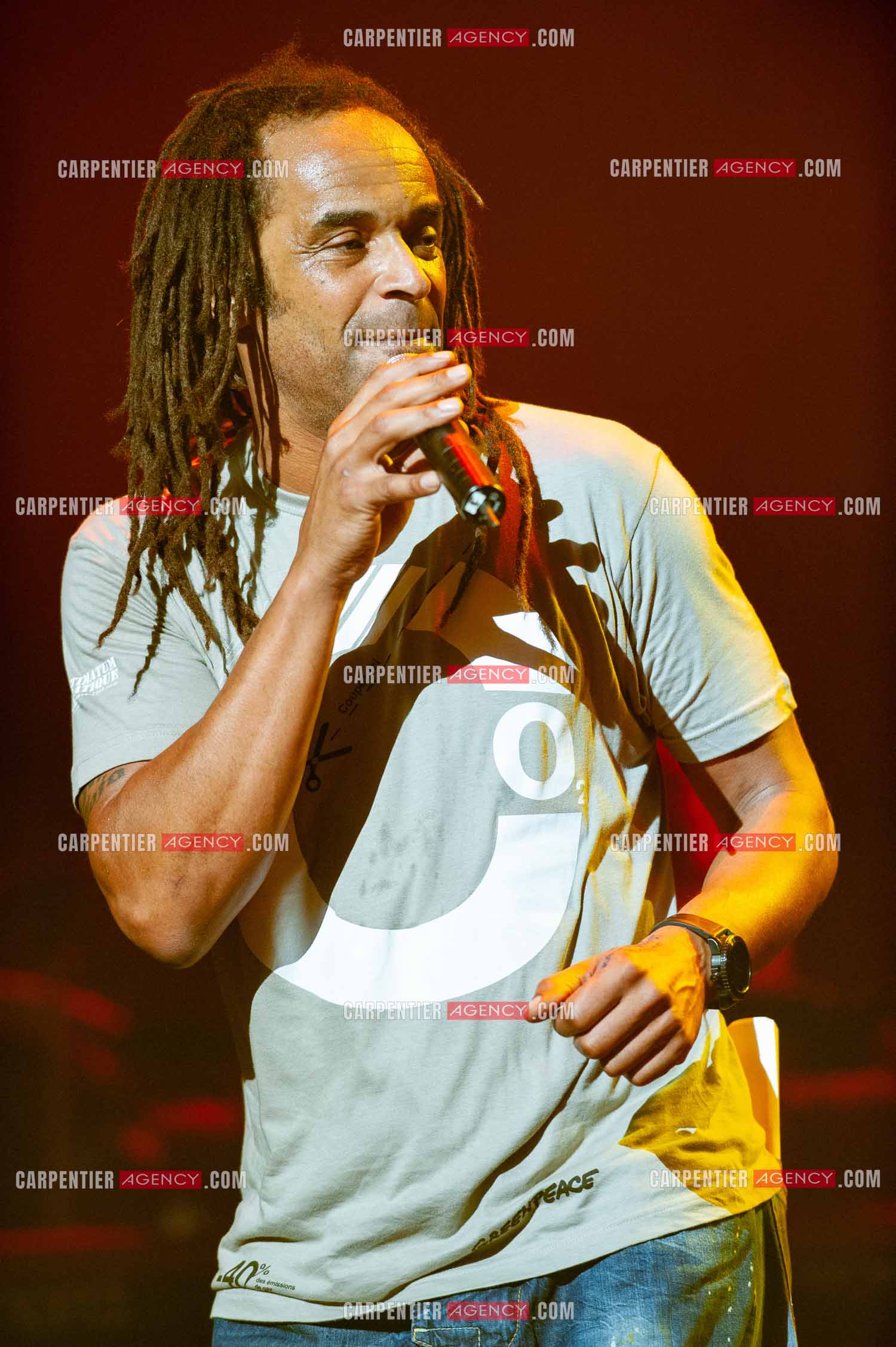 Grand concert au Zénith de Paris “ ULTIMATUM PLANETE ZÉNITH “ le 22 Nov 2009. Le chanteur Yannick Noah.                                    ( Exclusif )