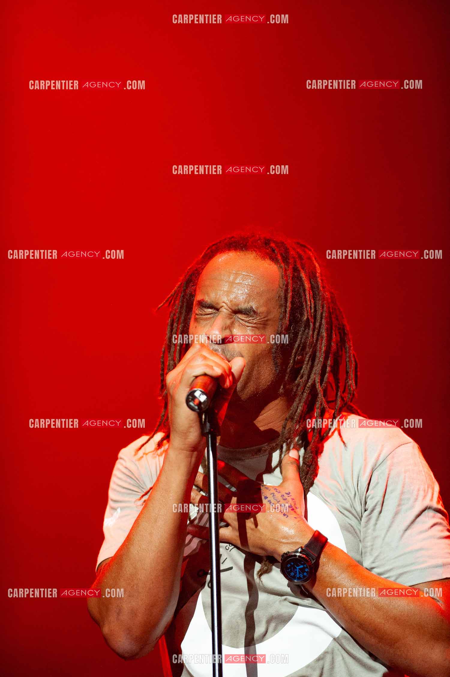 Grand concert au Zénith de Paris “ ULTIMATUM PLANETE ZÉNITH “ le 22 Nov 2009. Le chanteur Yannick Noah.                                    ( Exclusif )