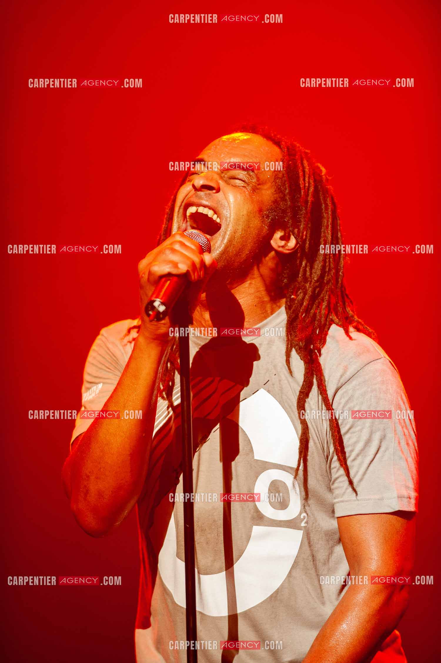 Grand concert au Zénith de Paris “ ULTIMATUM PLANETE ZÉNITH “ le 22 Nov 2009. Le chanteur Yannick Noah.                                    ( Exclusif )