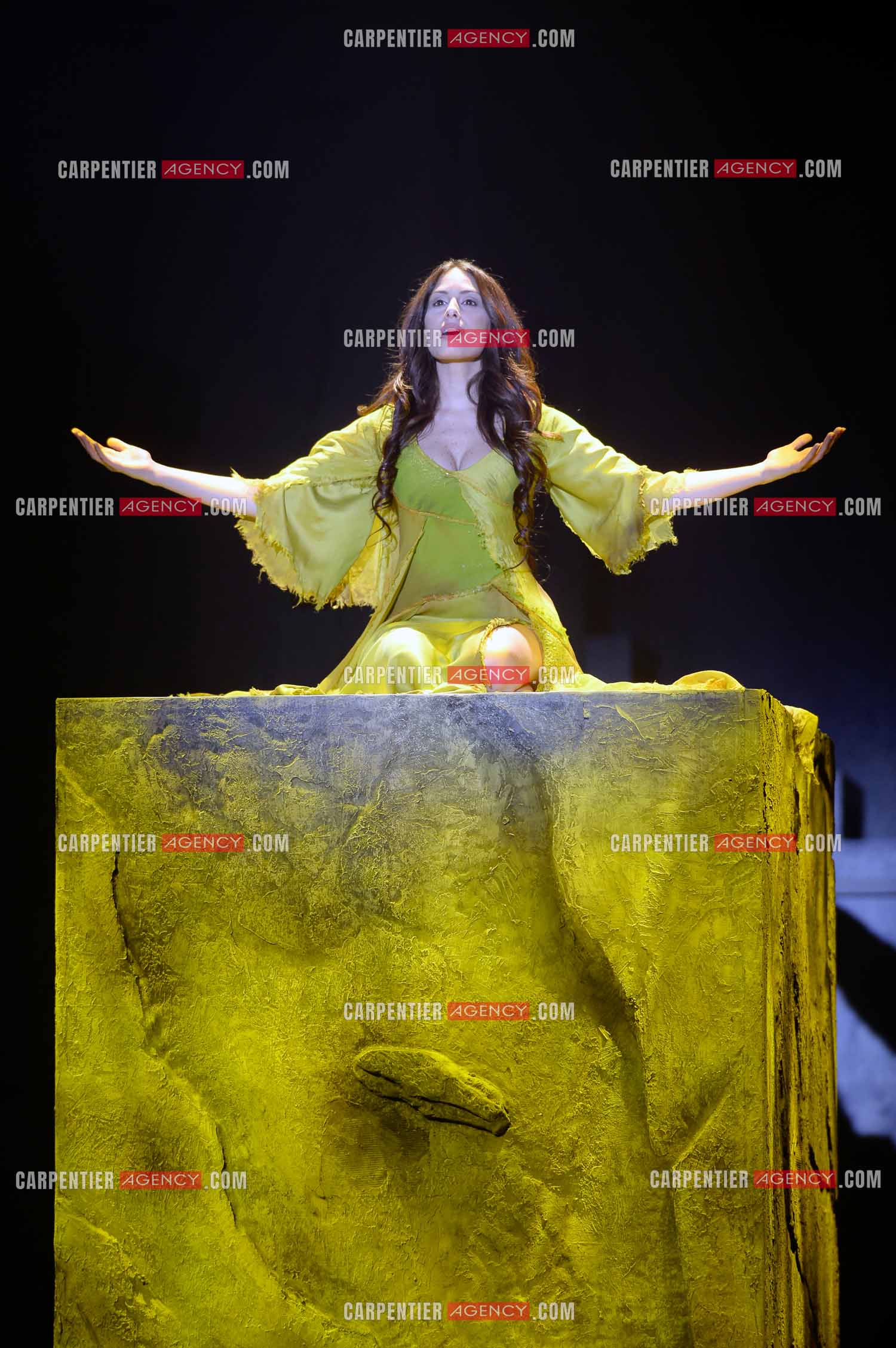 25 èm anniversaire de la comédie musicale Notre Dame de Paris.           Nouvelle  version depuis 2016. Dans le rôle d'Esmeralda, la chanteuse libanaise Hiba Tawaji.    ( Exclusif ).