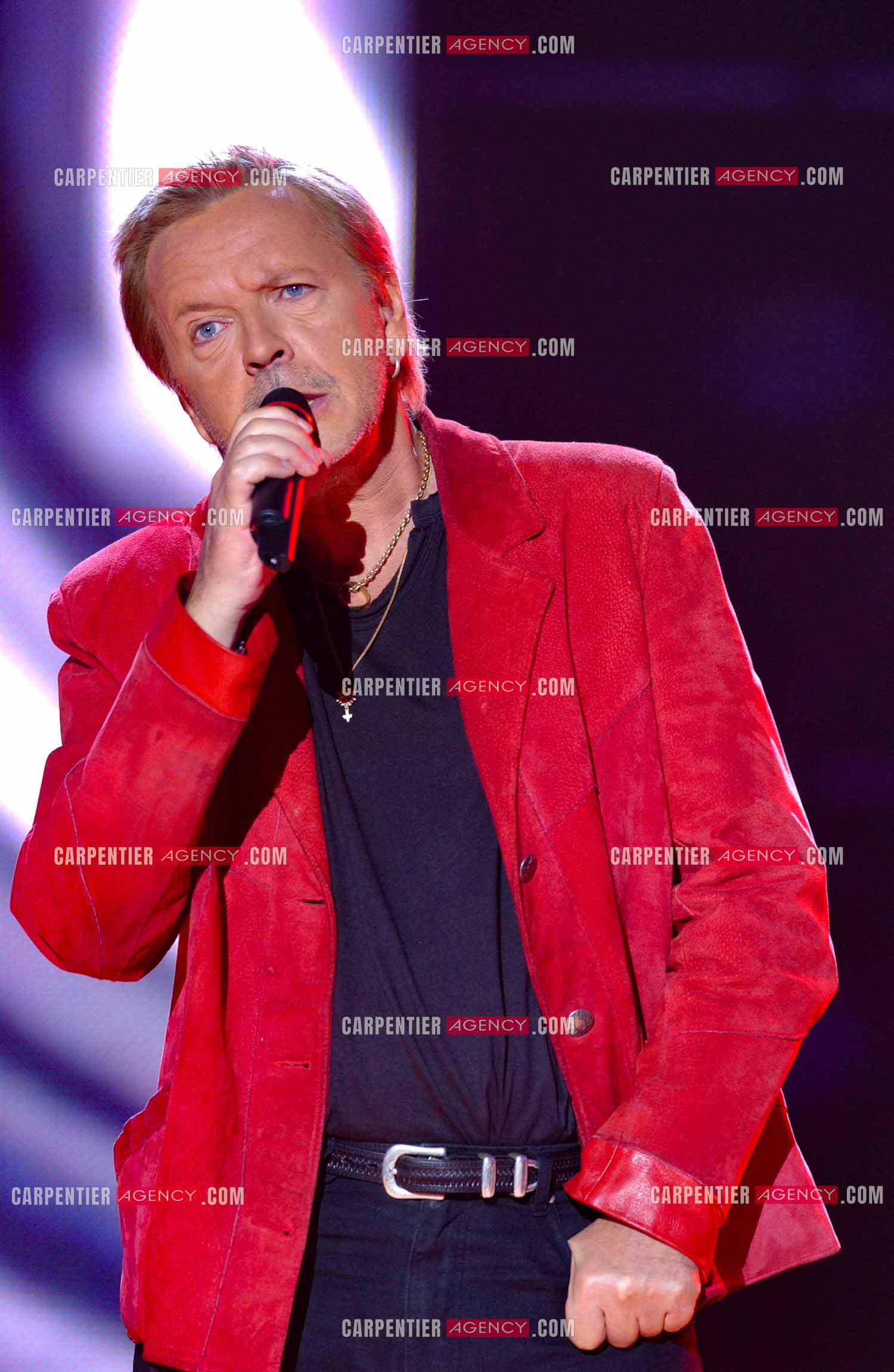 Le chanteur Renaud Séchan en concert pour l'anniversaire des 20 ans du Zénith de Paris.