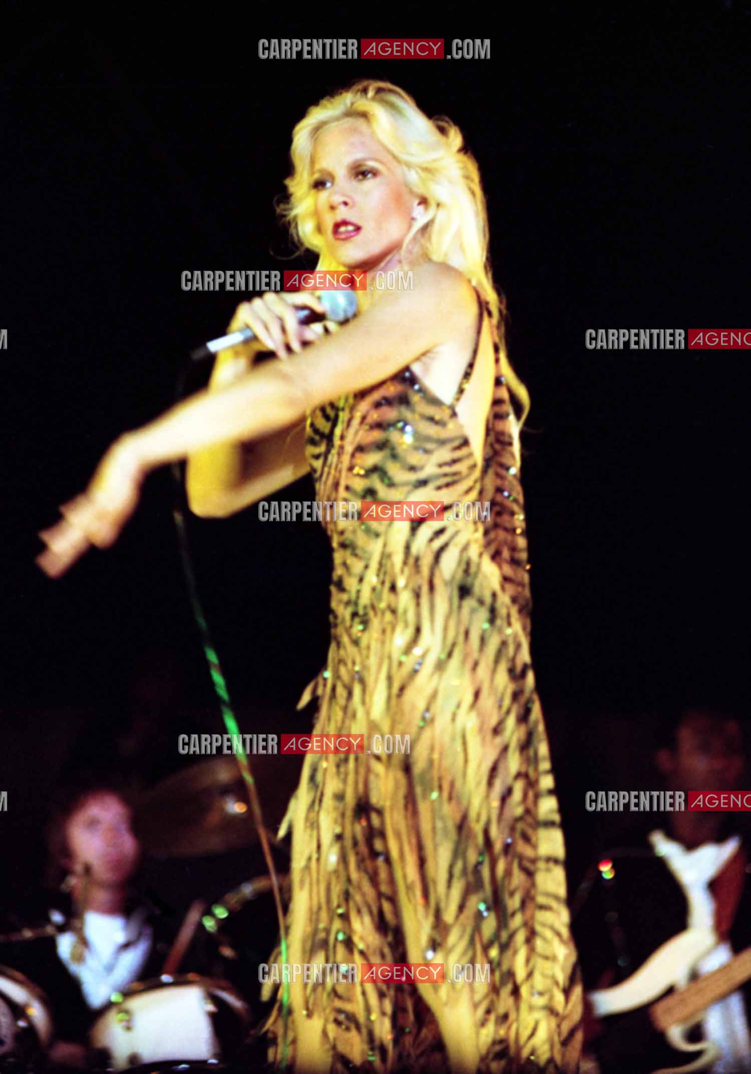 La chanteuse Sylvie Vartan en concert à Vienne en 1977.