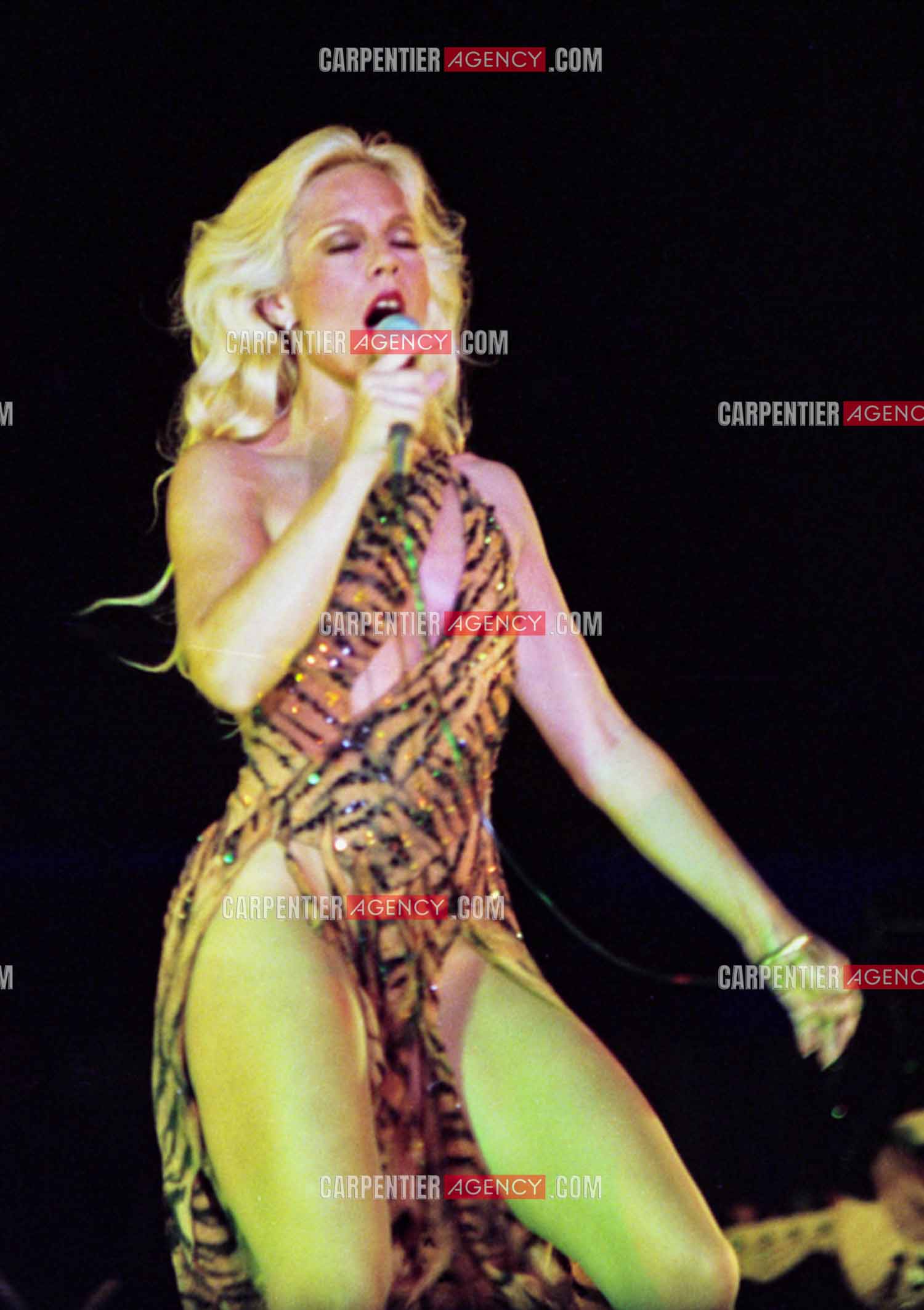 La chanteuse Sylvie Vartan en concert à Vienne en 1977.