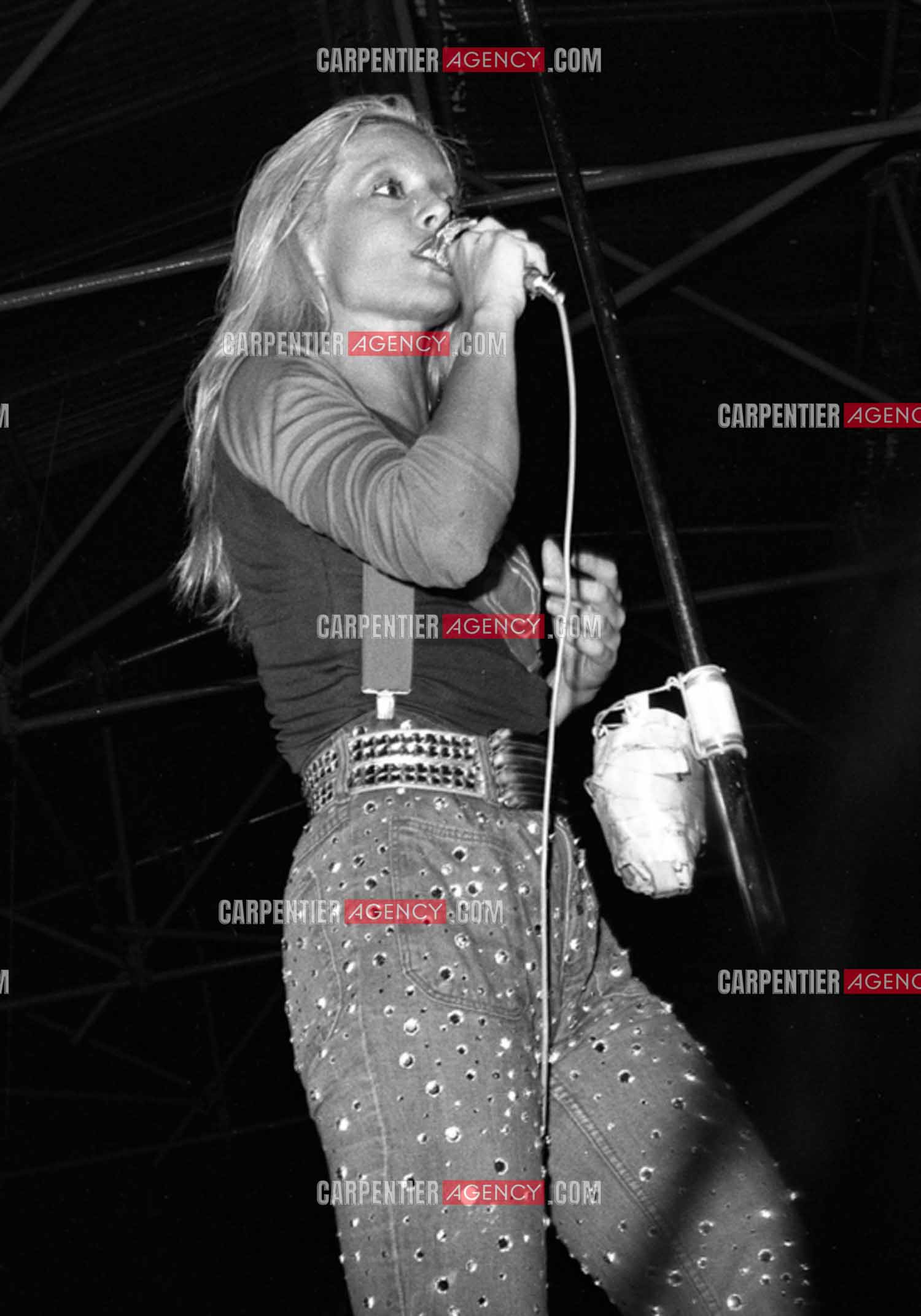 La chanteuse Sylvie Vartan en concert à Grenoble en 1977.