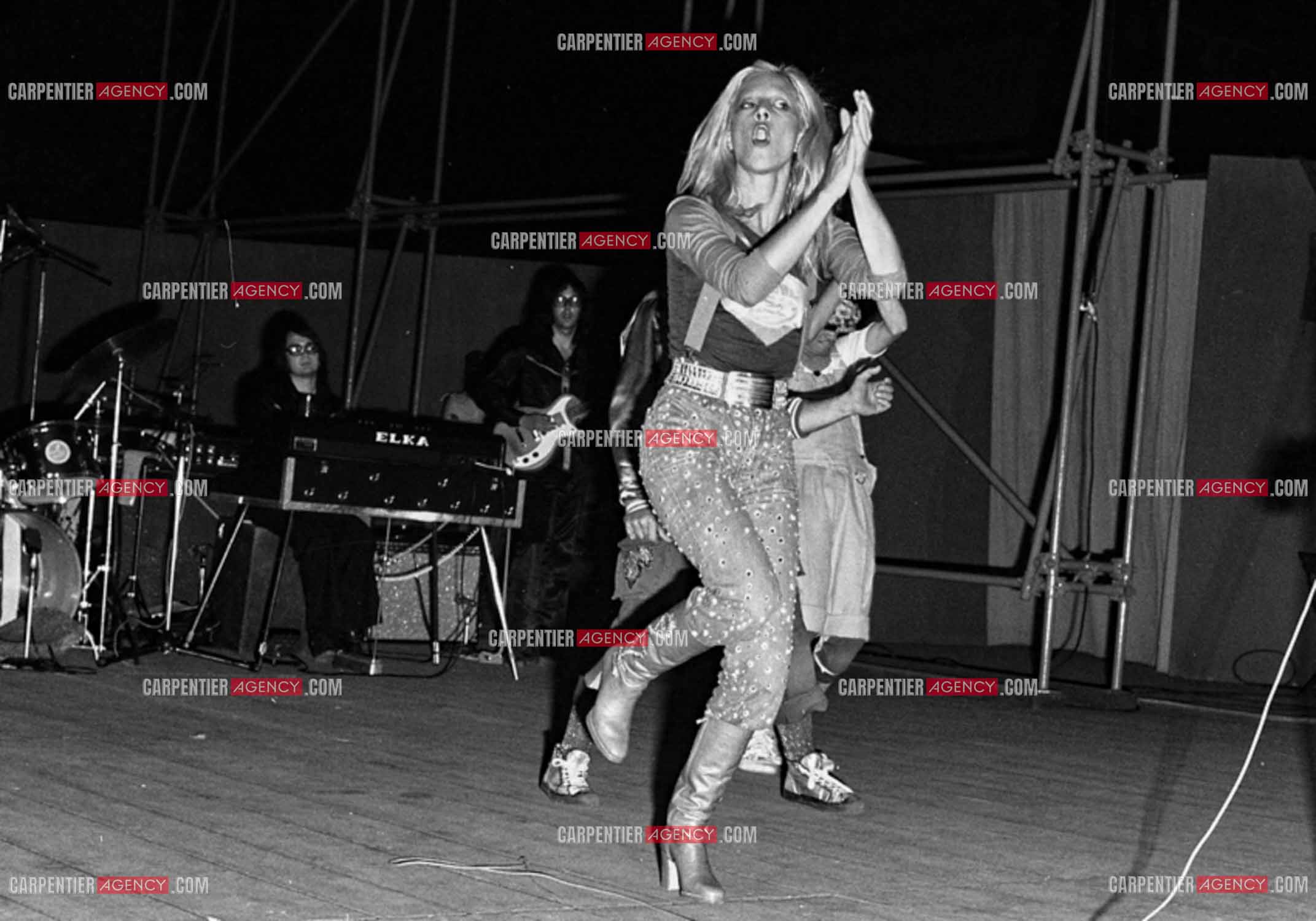 La chanteuse Sylvie Vartan en concert à Grenoble en 1977.