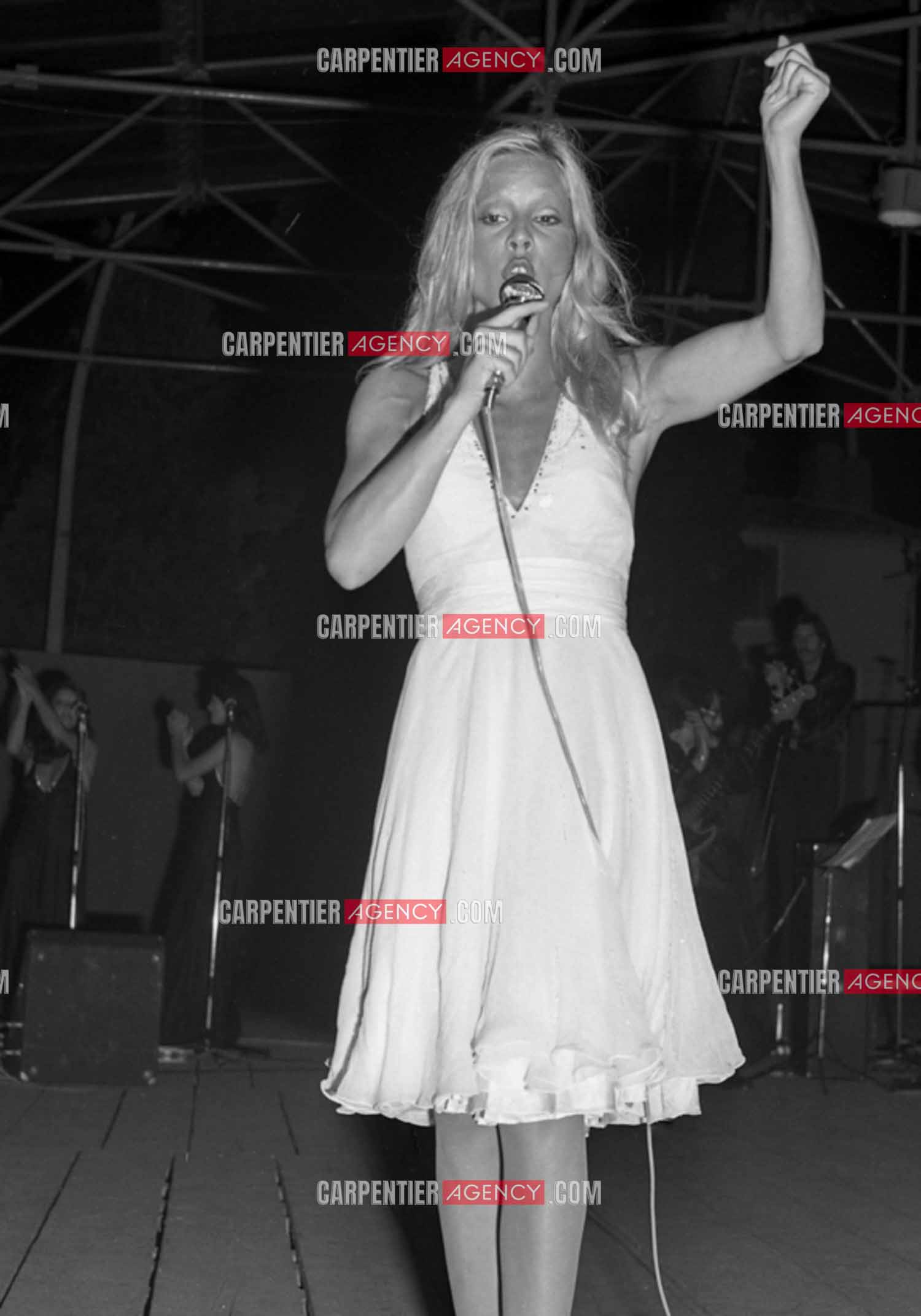 La chanteuse Sylvie Vartan en concert à Grenoble en 1977.