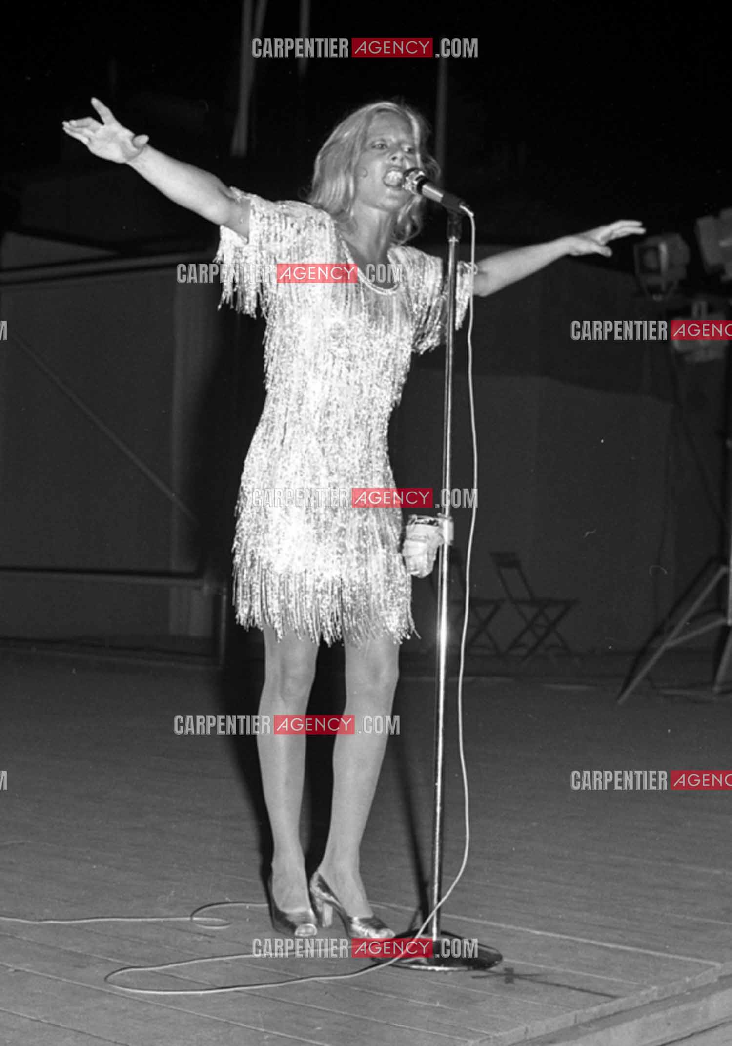 La chanteuse Sylvie Vartan en concert à Grenoble en 1977.
