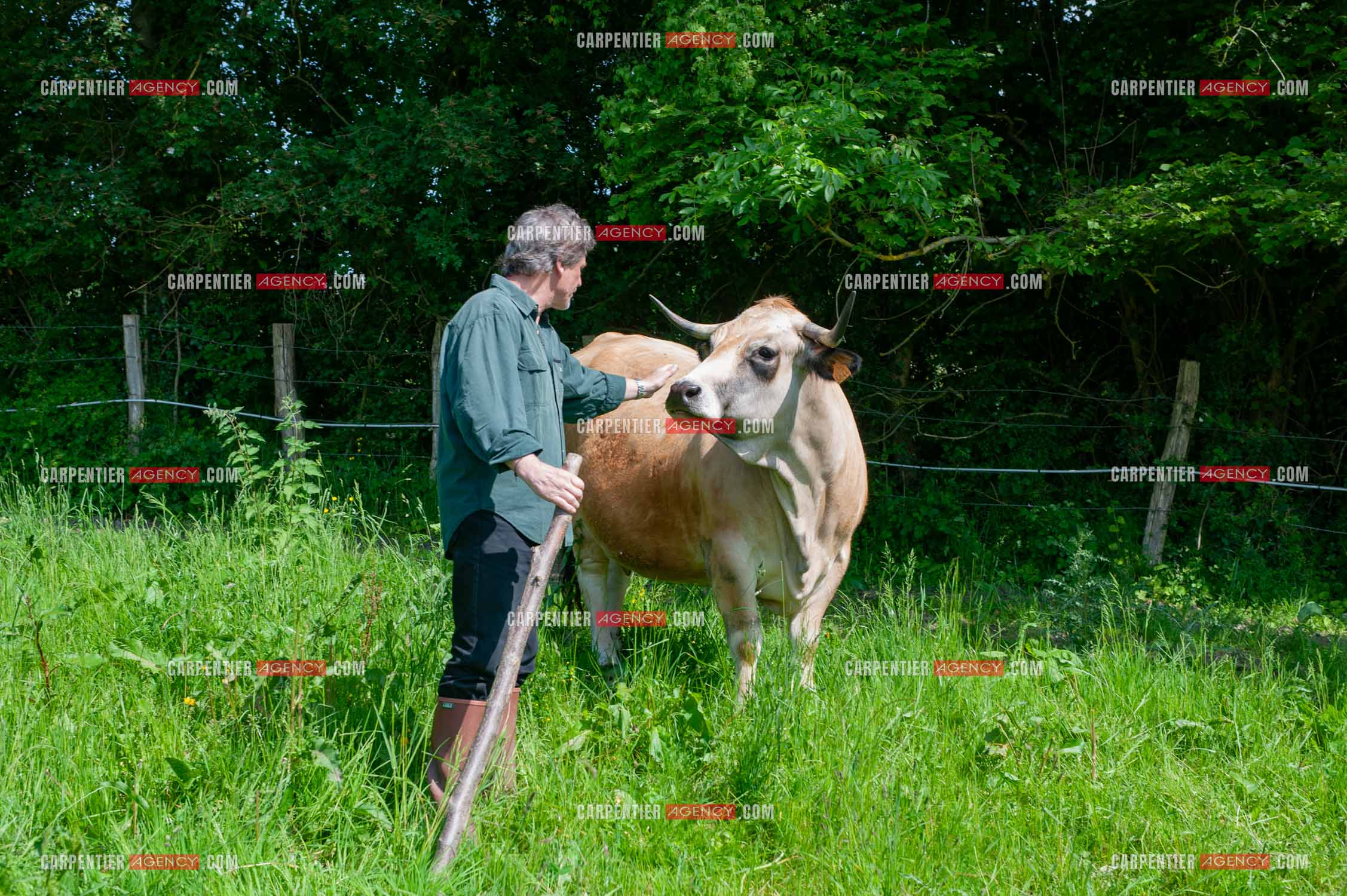 Le chanteur Gérard  Lenorman dans sa résidence secondaire avec ses animaux.   ( Exclusif )