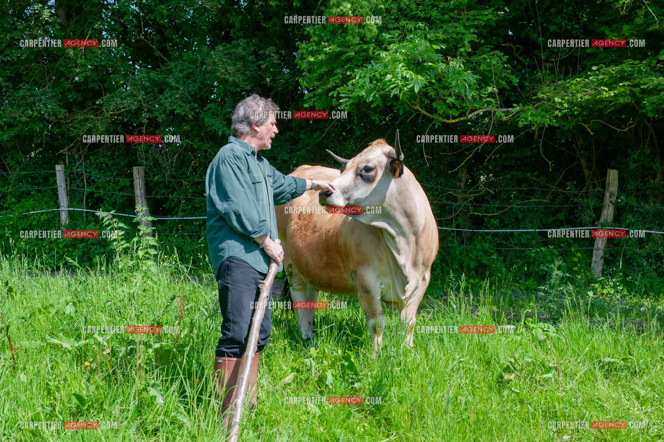 Le chanteur Gérard  Lenorman dans sa résidence secondaire avec ses animaux.   ( Exclusif )