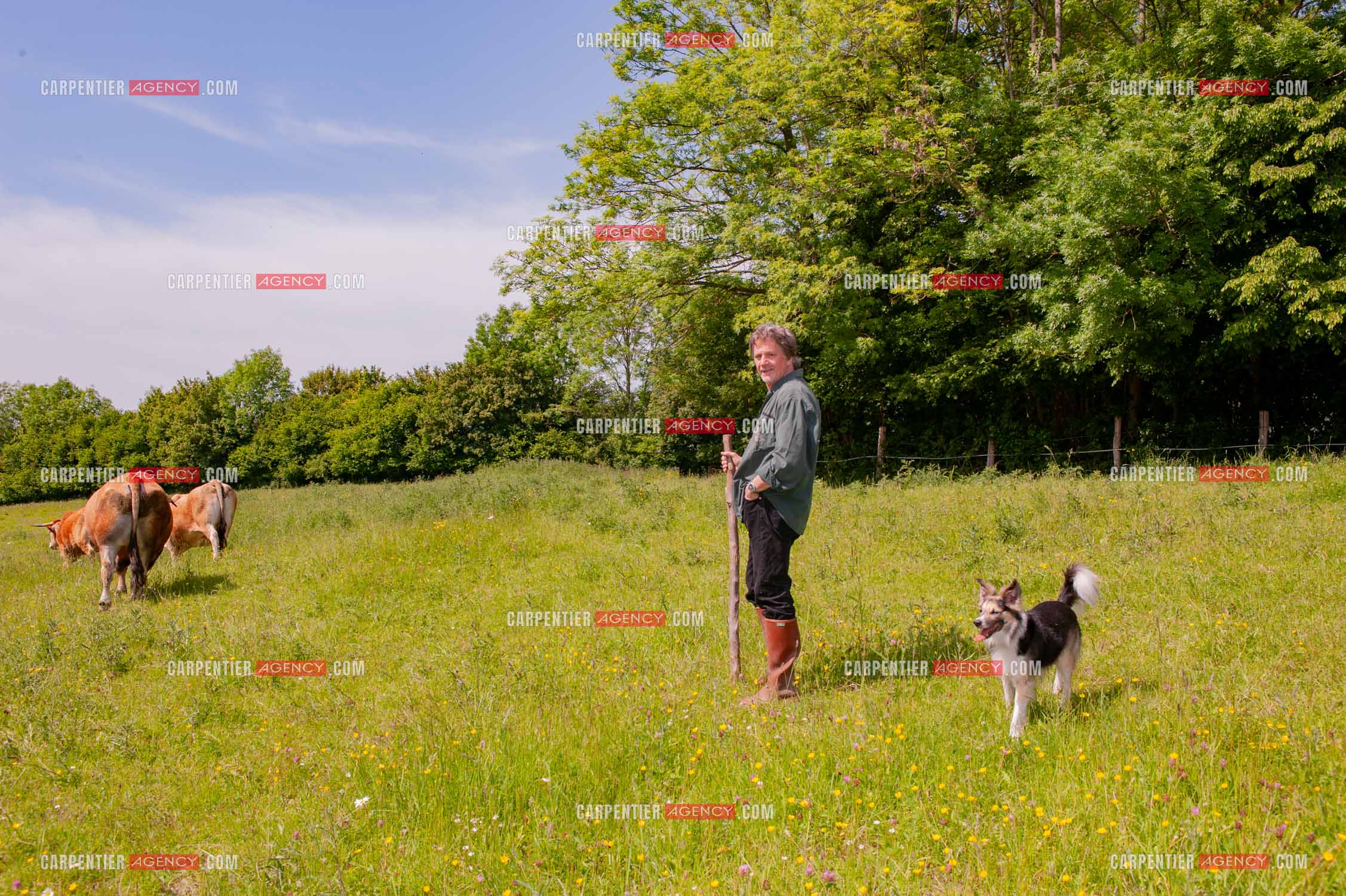 Le chanteur Gérard  Lenorman dans sa résidence secondaire avec ses animaux.   ( Exclusif )