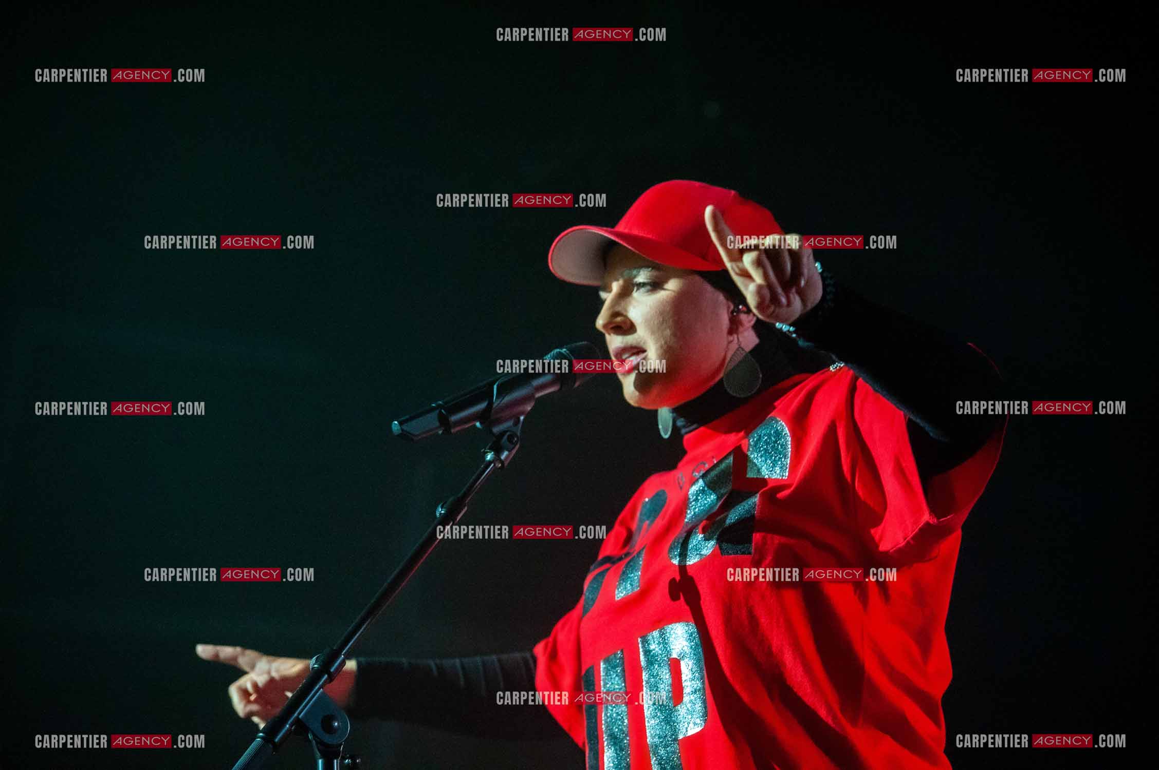 La chanteuse Diam's en concert au Zénith de Paris en 2010.    ( Exclusif )