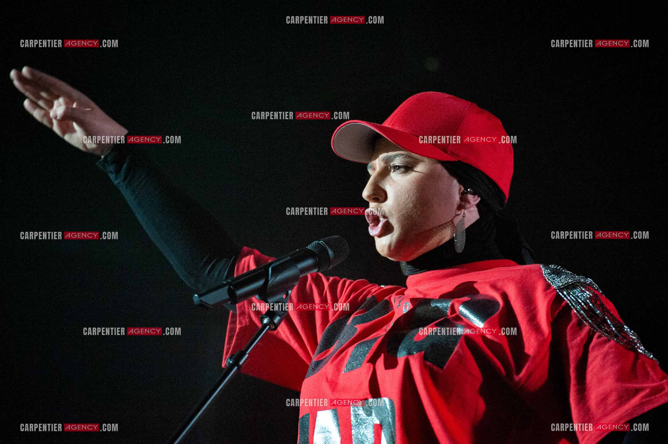 La chanteuse Diam's en concert au Zénith de Paris en 2010.    ( Exclusif )