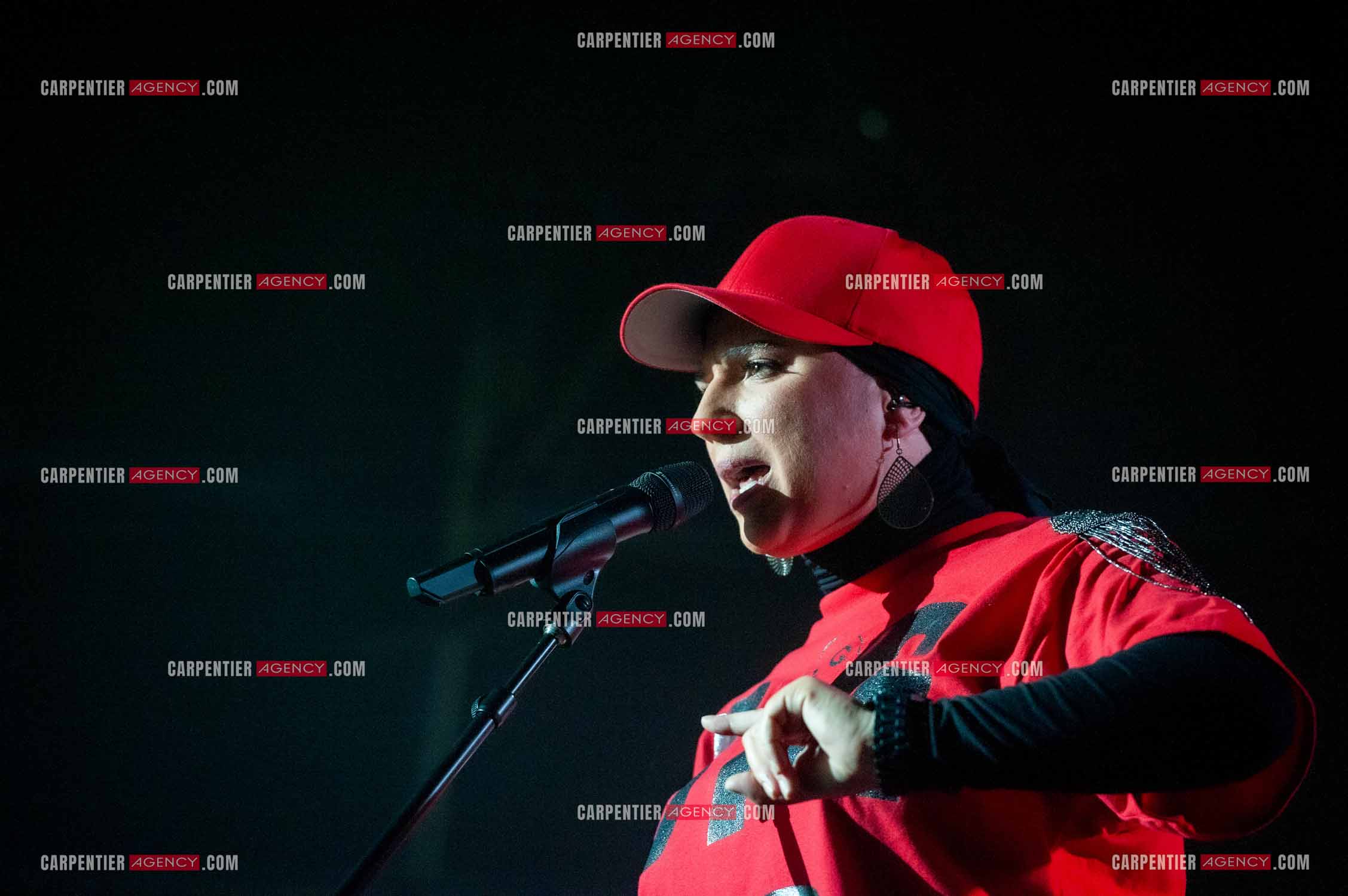 La chanteuse Diam's en concert au Zénith de Paris en 2010.    ( Exclusif )