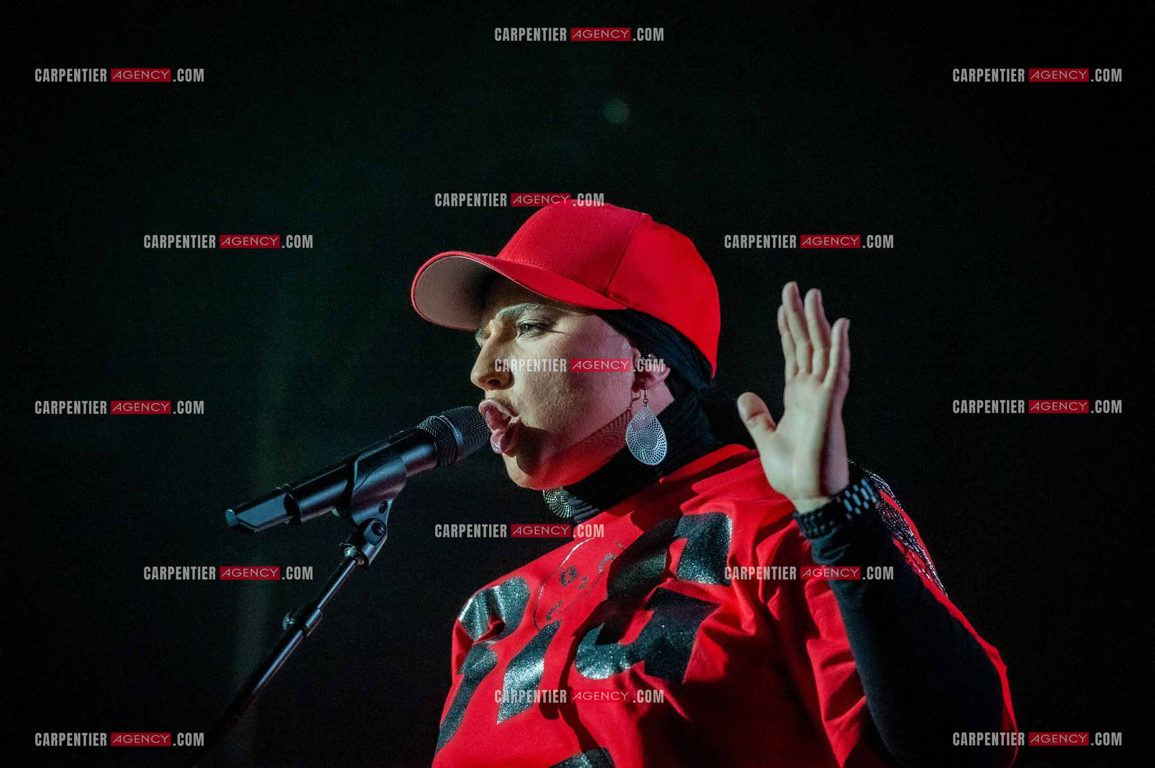 La chanteuse Diam's en concert au Zénith de Paris en 2010.    ( Exclusif )