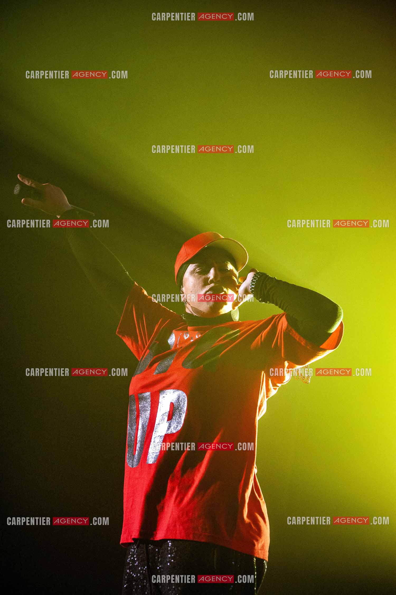 La chanteuse Diam's en concert au Zénith de Paris en 2010.    ( Exclusif )