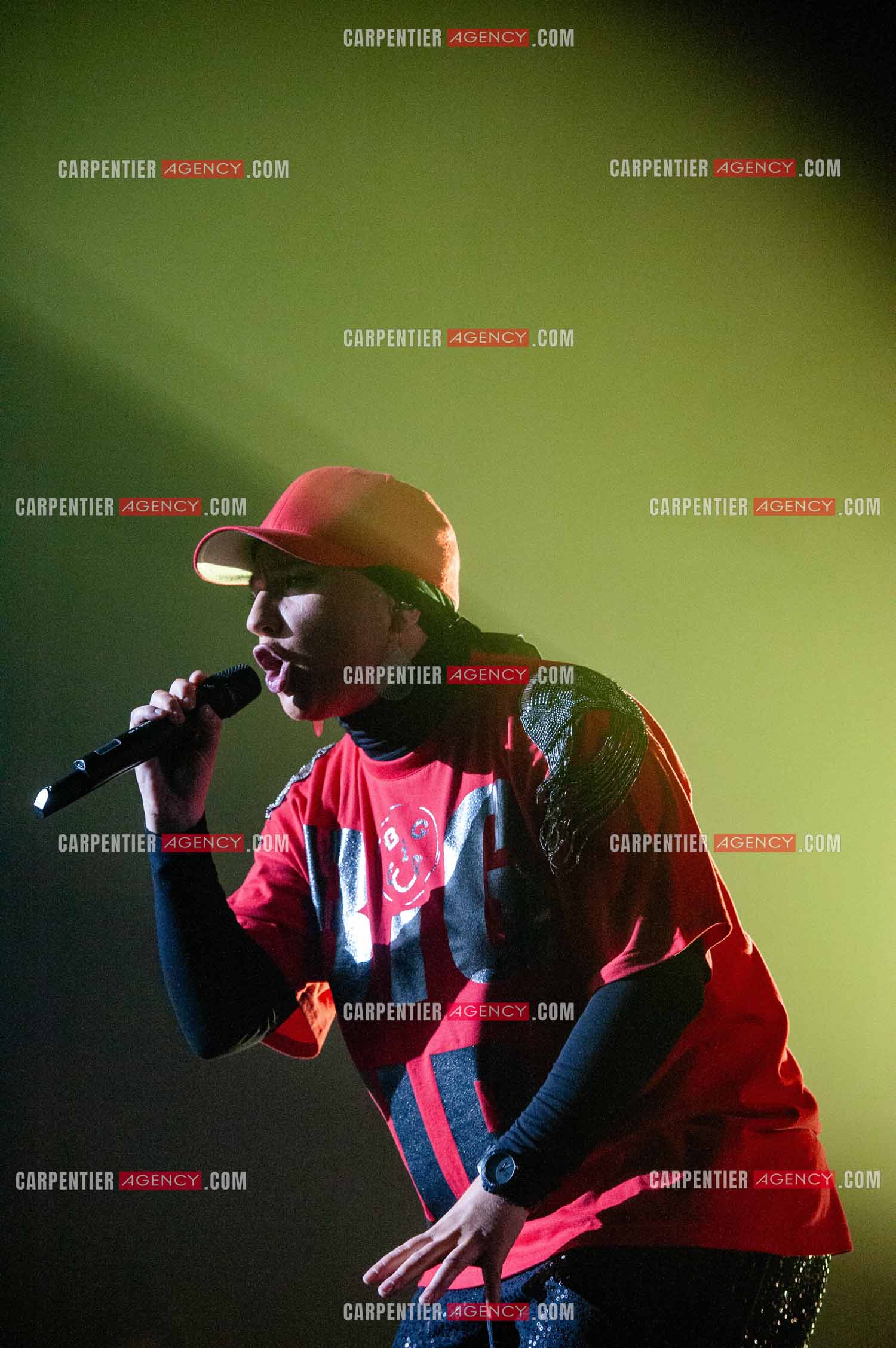 La chanteuse Diam's en concert au Zénith de Paris en 2010.    ( Exclusif )