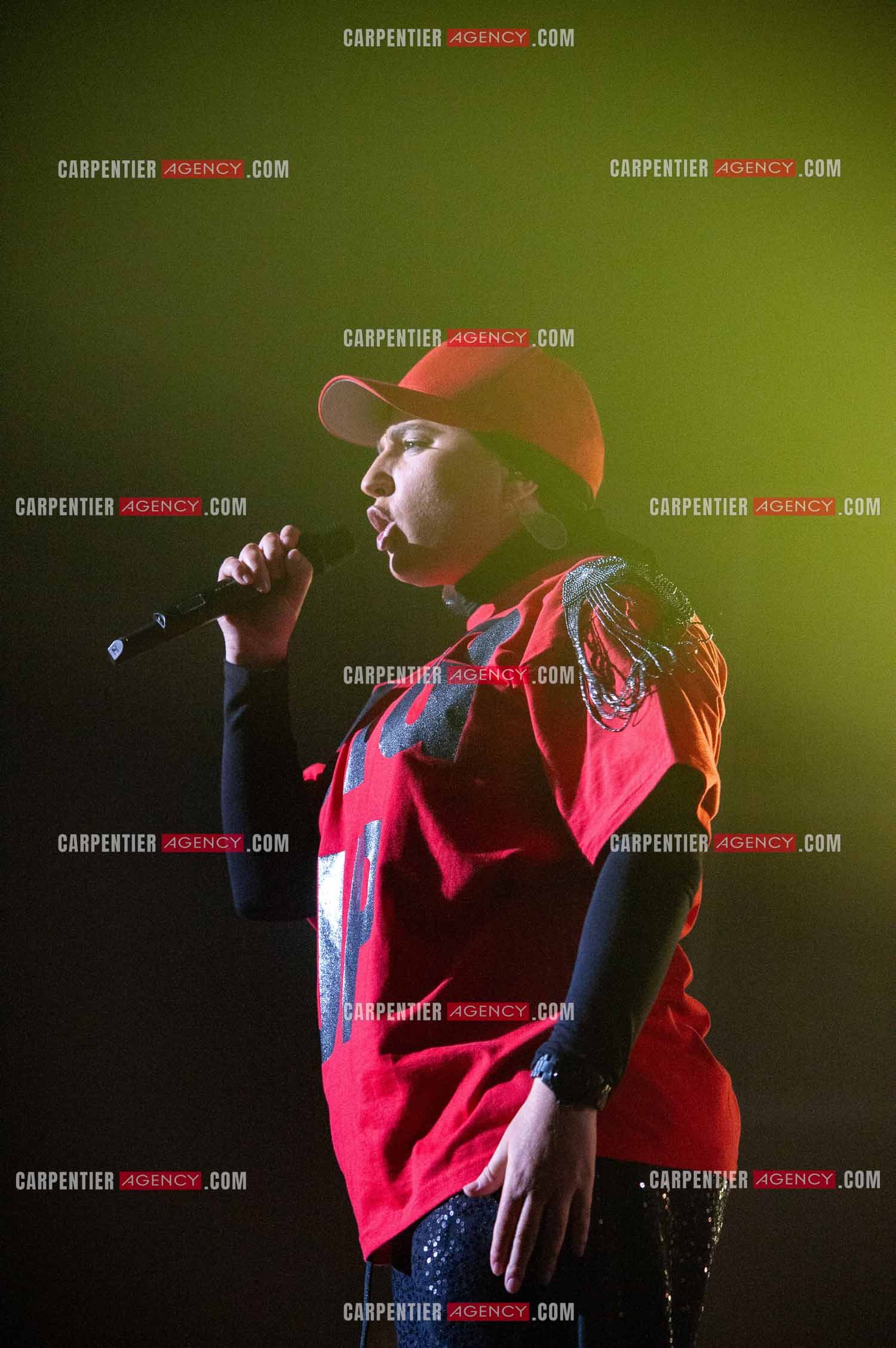 La chanteuse Diam's en concert au Zénith de Paris en 2010.    ( Exclusif )