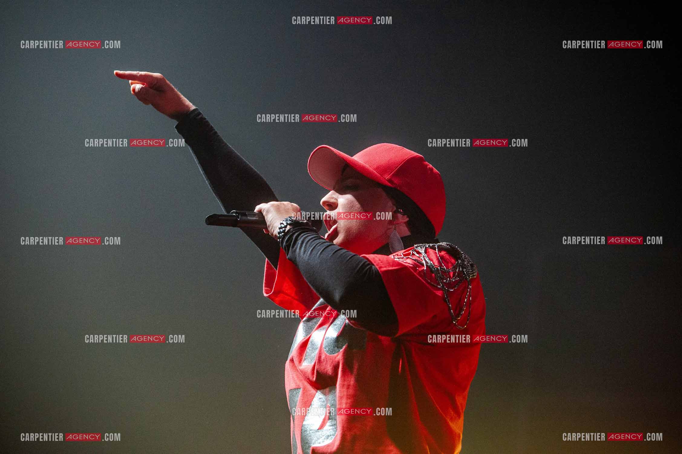 La chanteuse Diam's en concert au Zénith de Paris en 2010.    ( Exclusif )