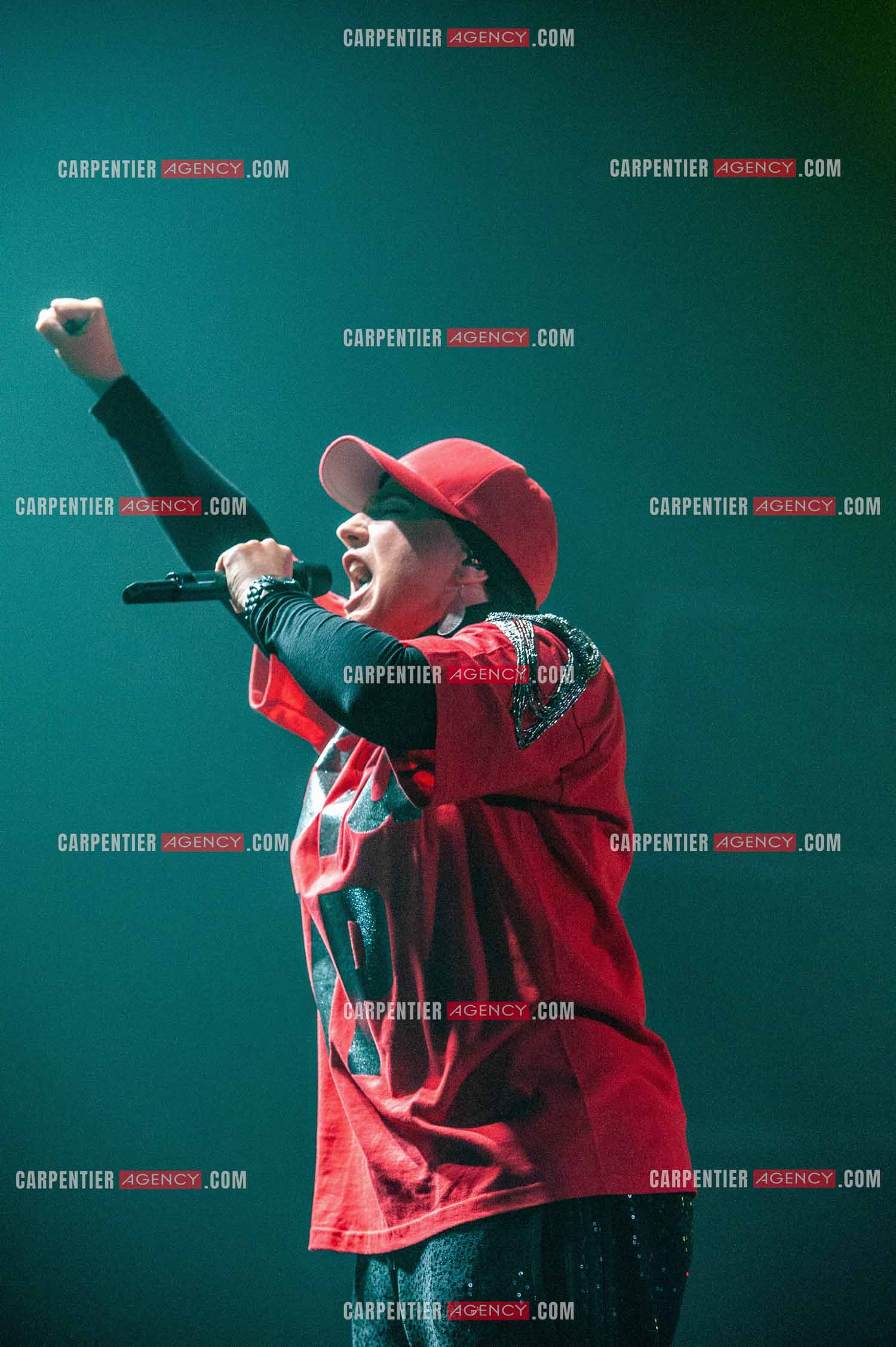 La chanteuse Diam's en concert au Zénith de Paris en 2010.    ( Exclusif )