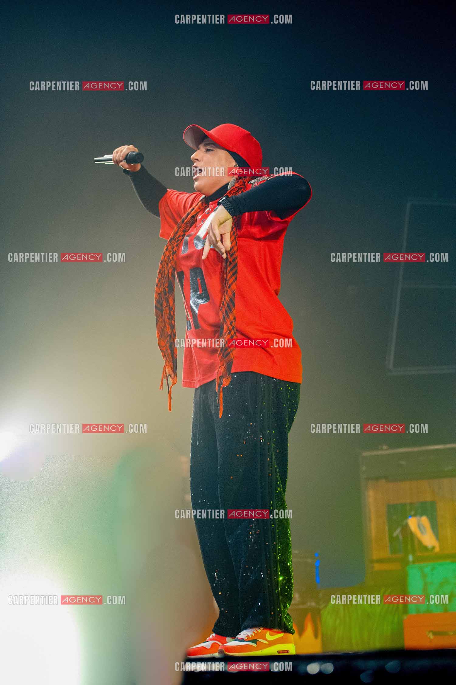 La chanteuse Diam's en concert au Zénith de Paris en 2010.    ( Exclusif )