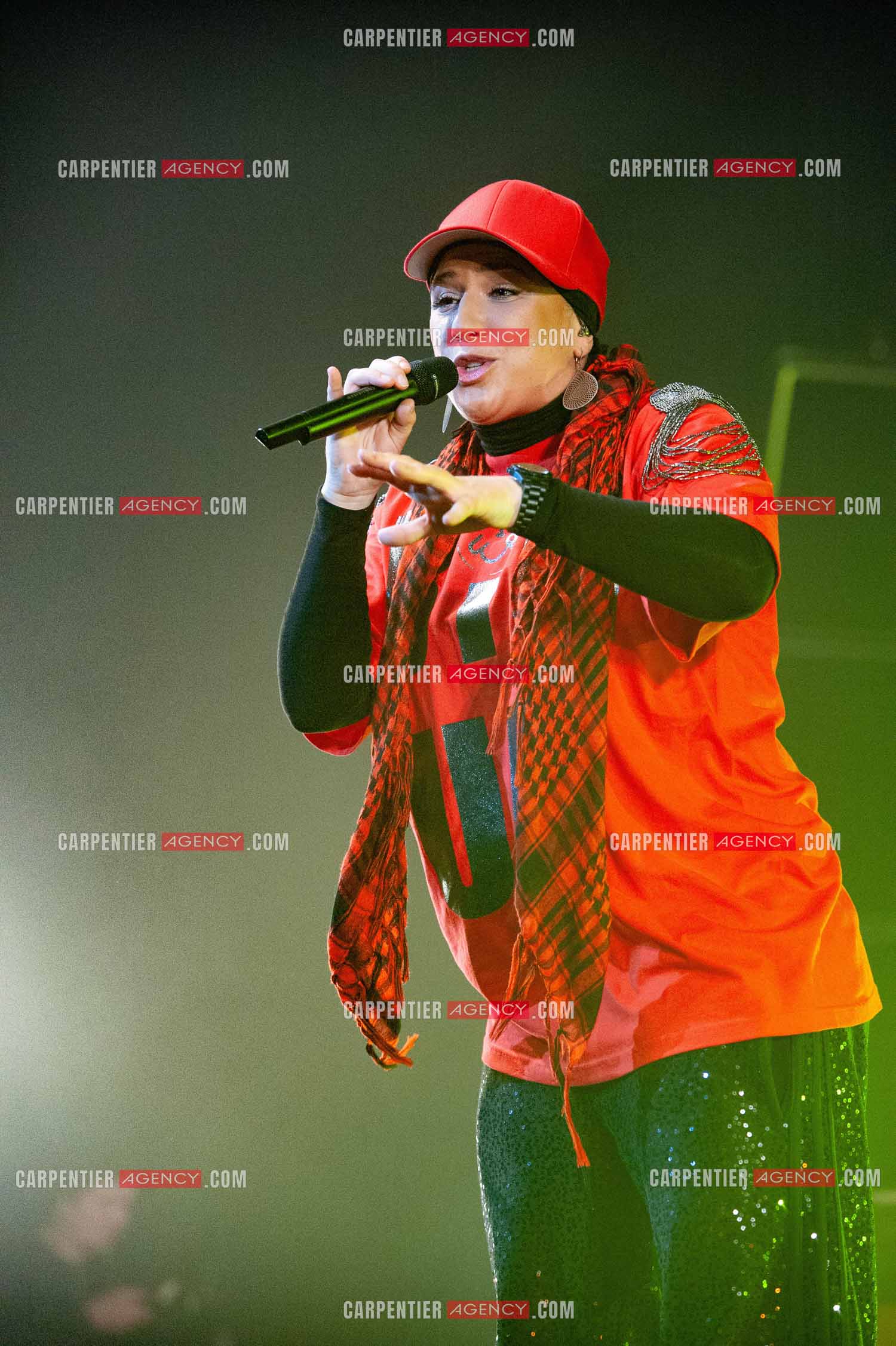 La chanteuse Diam's en concert au Zénith de Paris en 2010.    ( Exclusif )