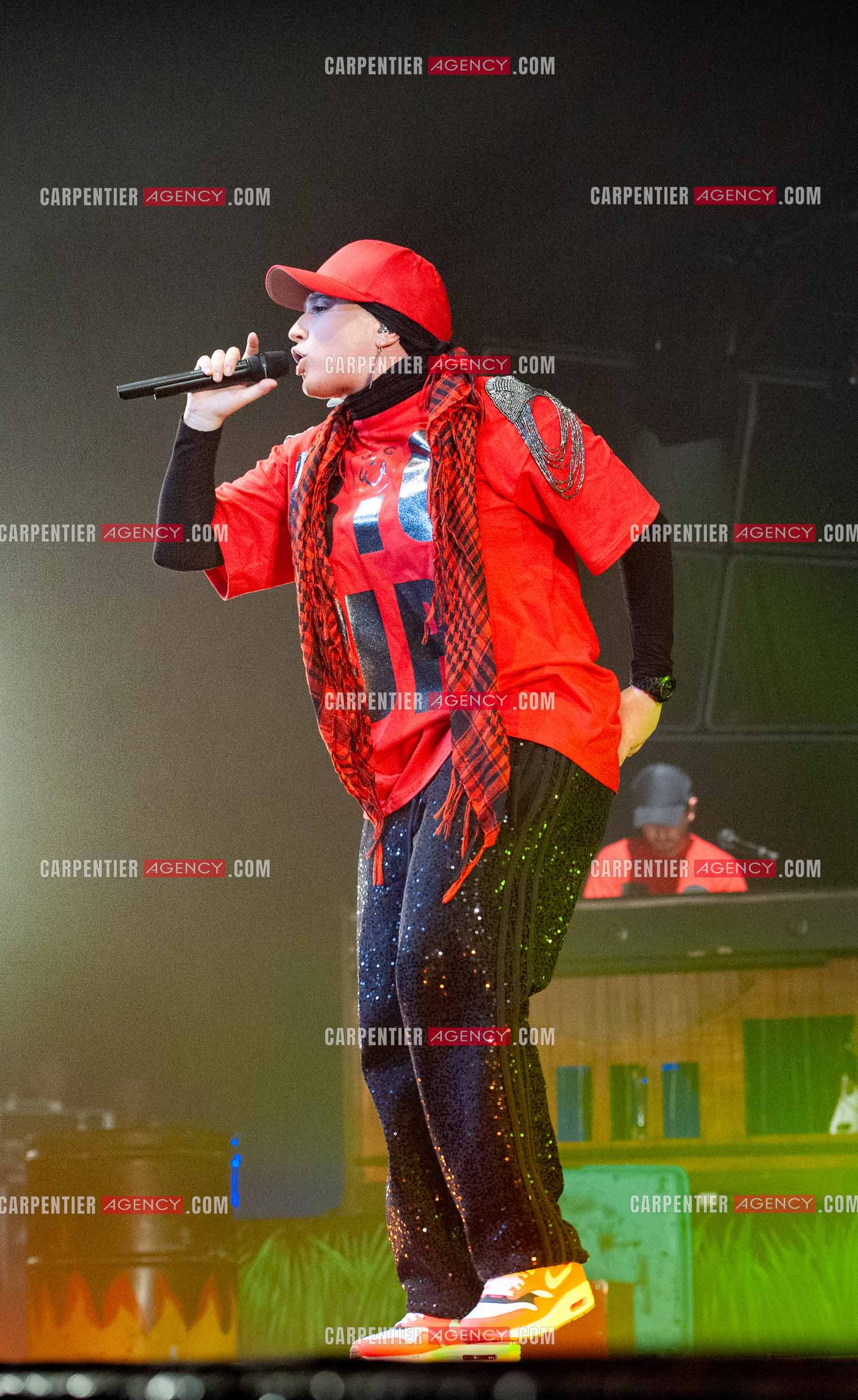 La chanteuse Diam's en concert au Zénith de Paris en 2010.    ( Exclusif )