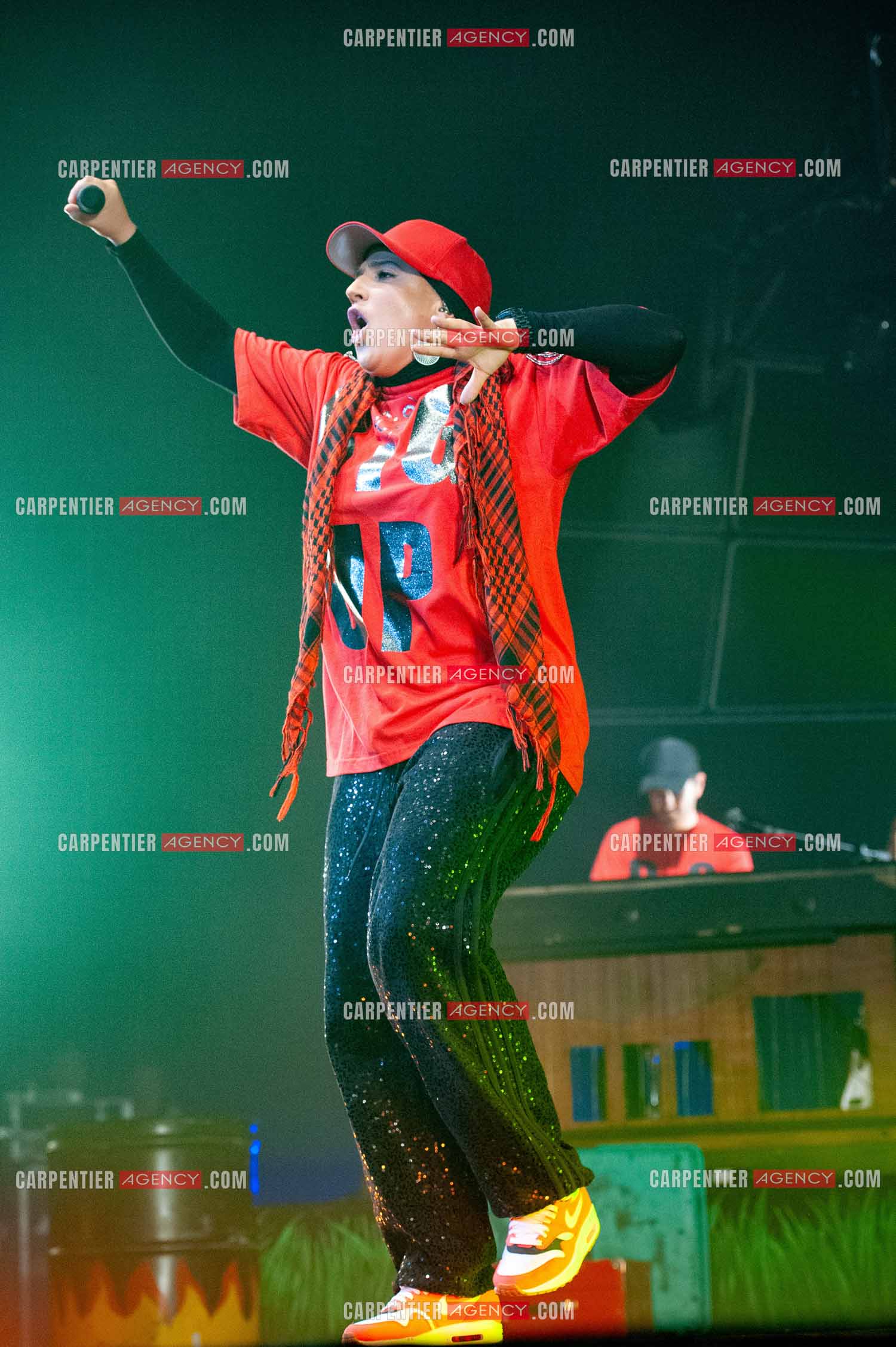 La chanteuse Diam's en concert au Zénith de Paris en 2010.    ( Exclusif )