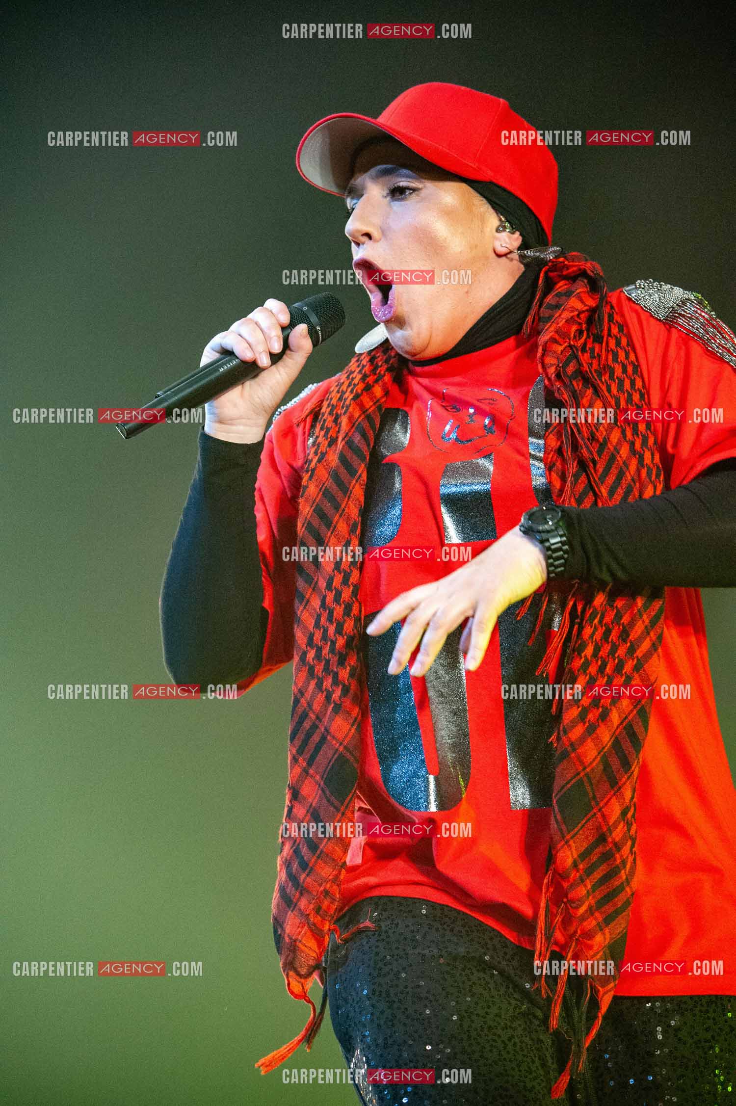 La chanteuse Diam's en concert au Zénith de Paris en 2010.    ( Exclusif )